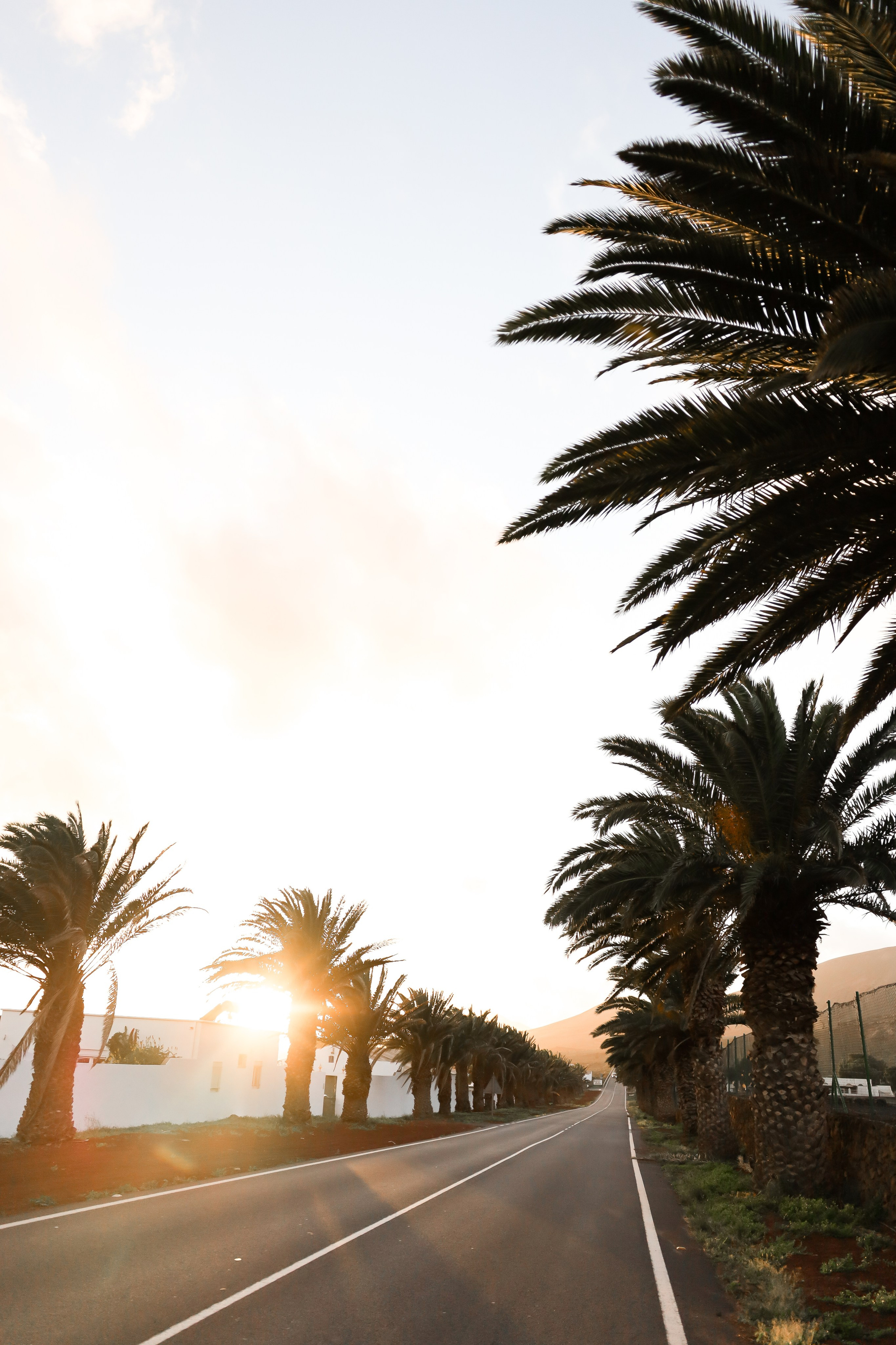 EVENTS. Anastasia Krylova | Photographer in Budapest