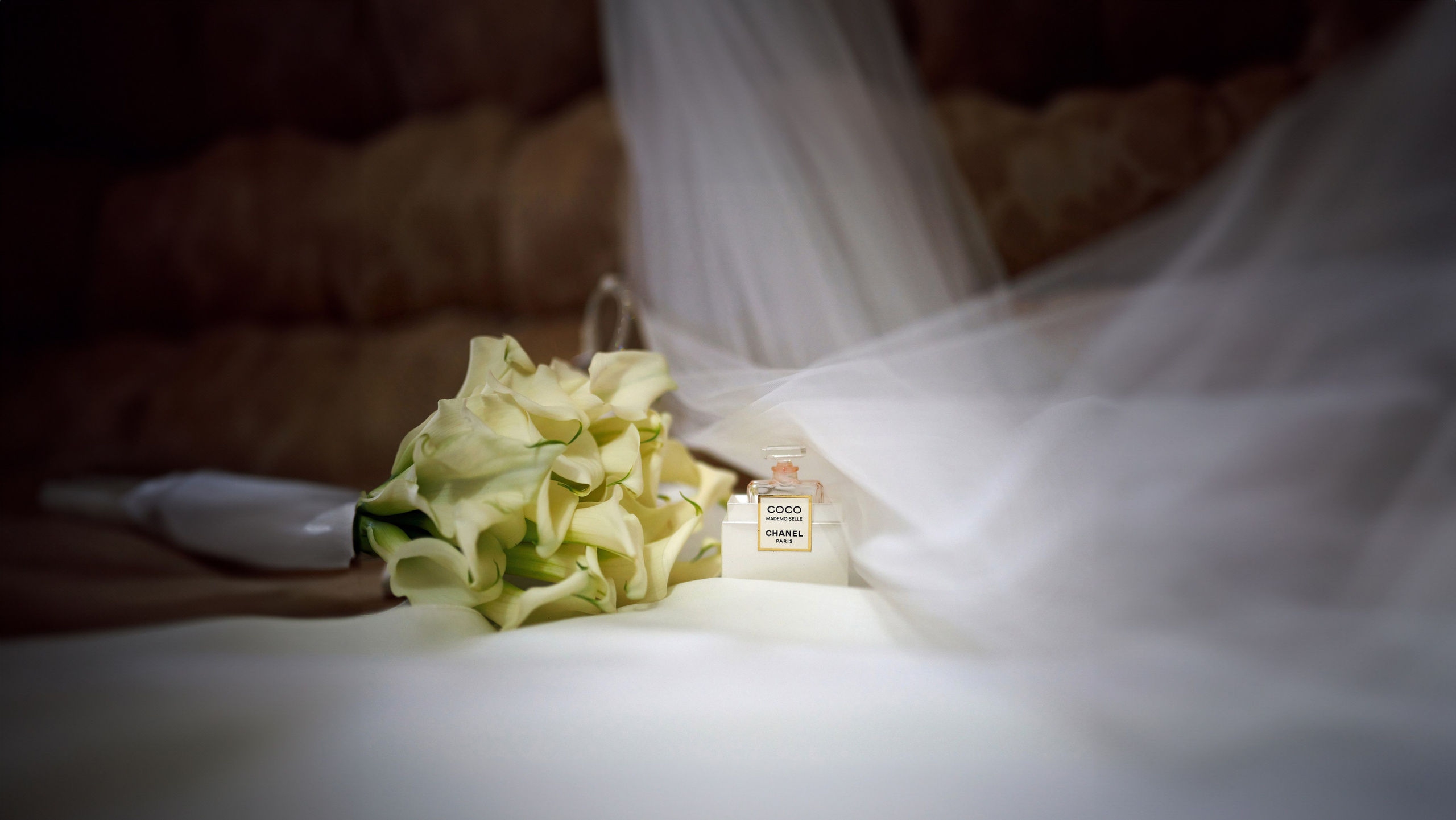 Дмитрий и Каролина Тофан