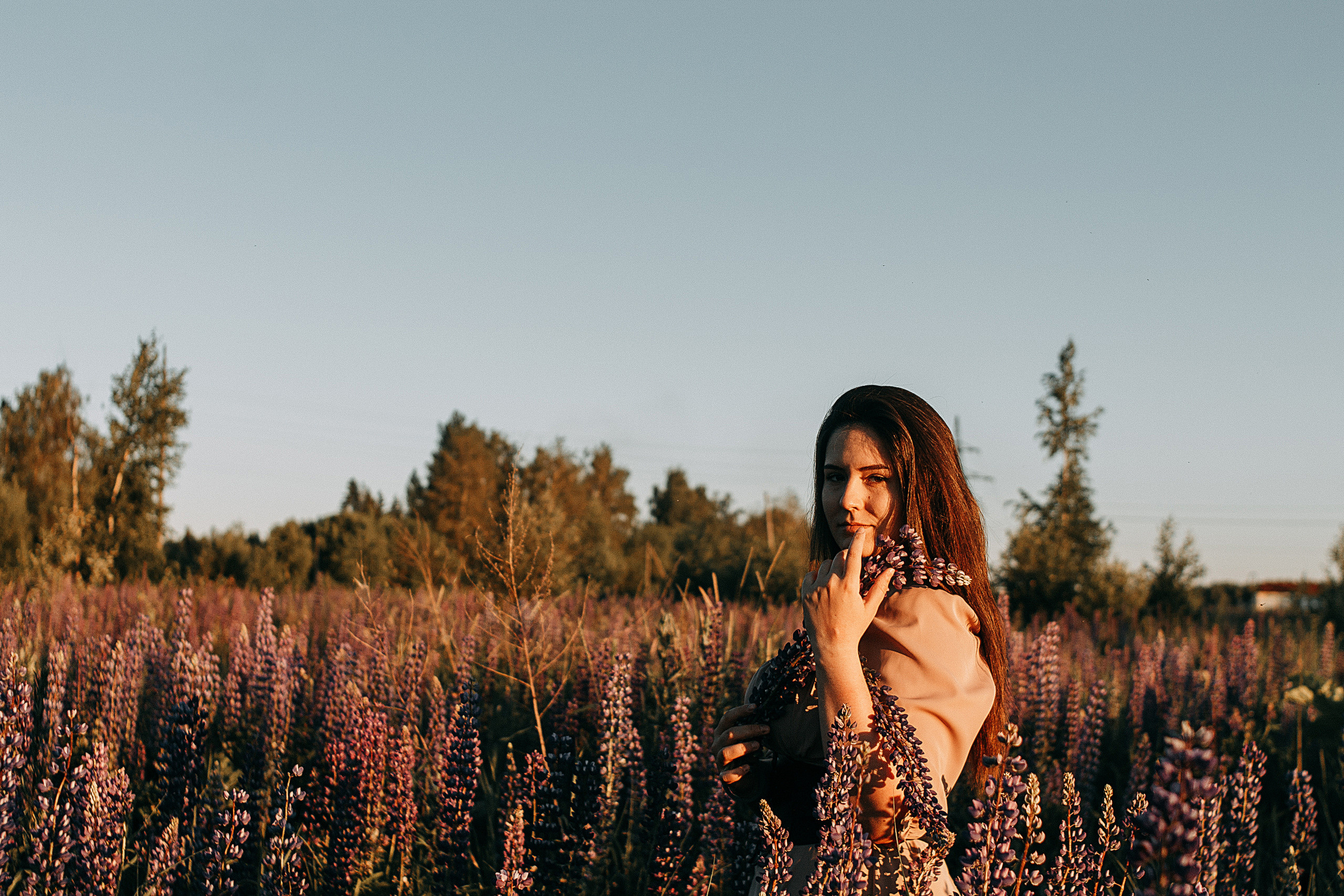 Natalia is in lupins. Wedding and portrait photographer in Beograd Ekaterina Makedonskaya
