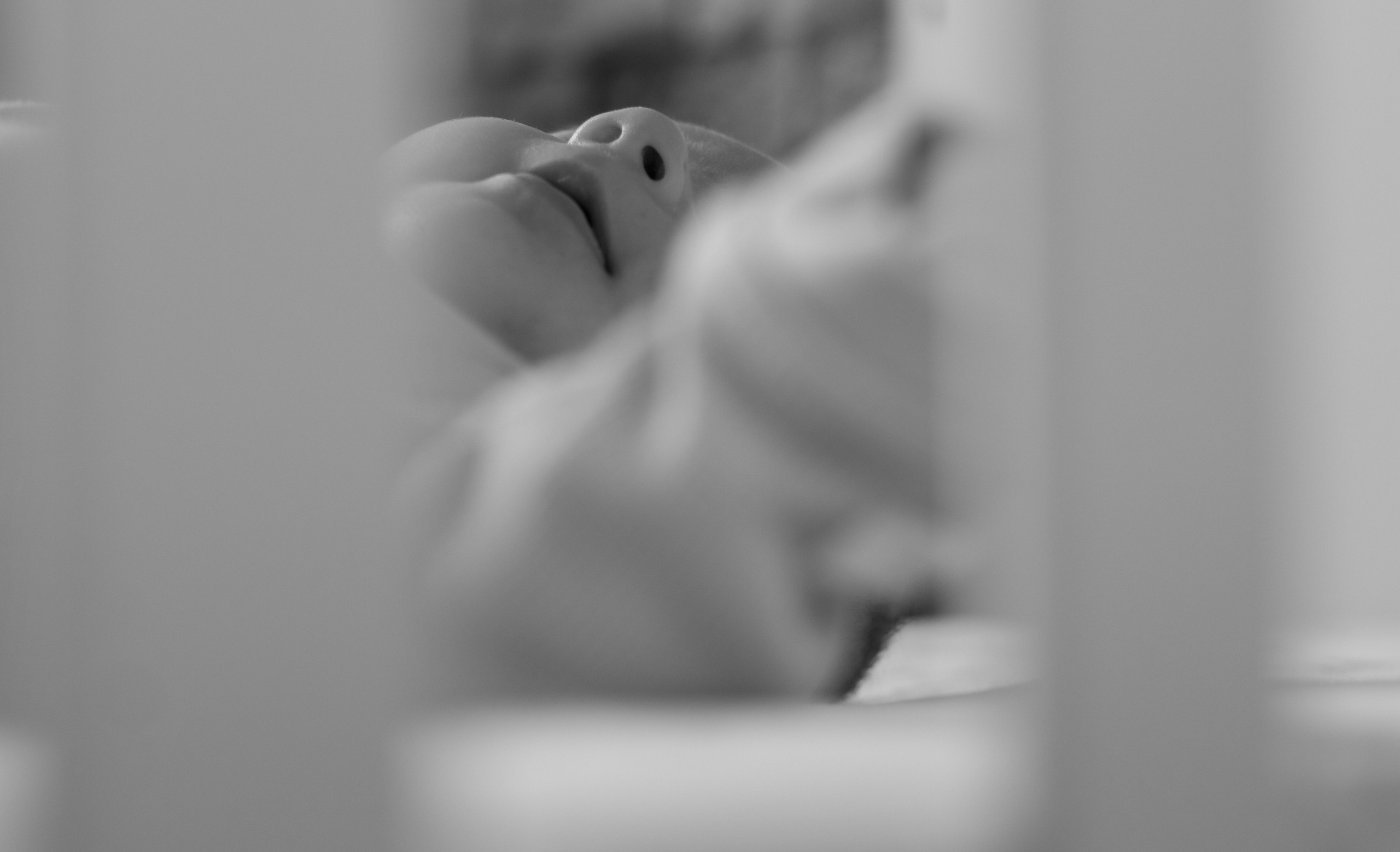 Ingrid. Fotograf si videograf — evenimente si studio