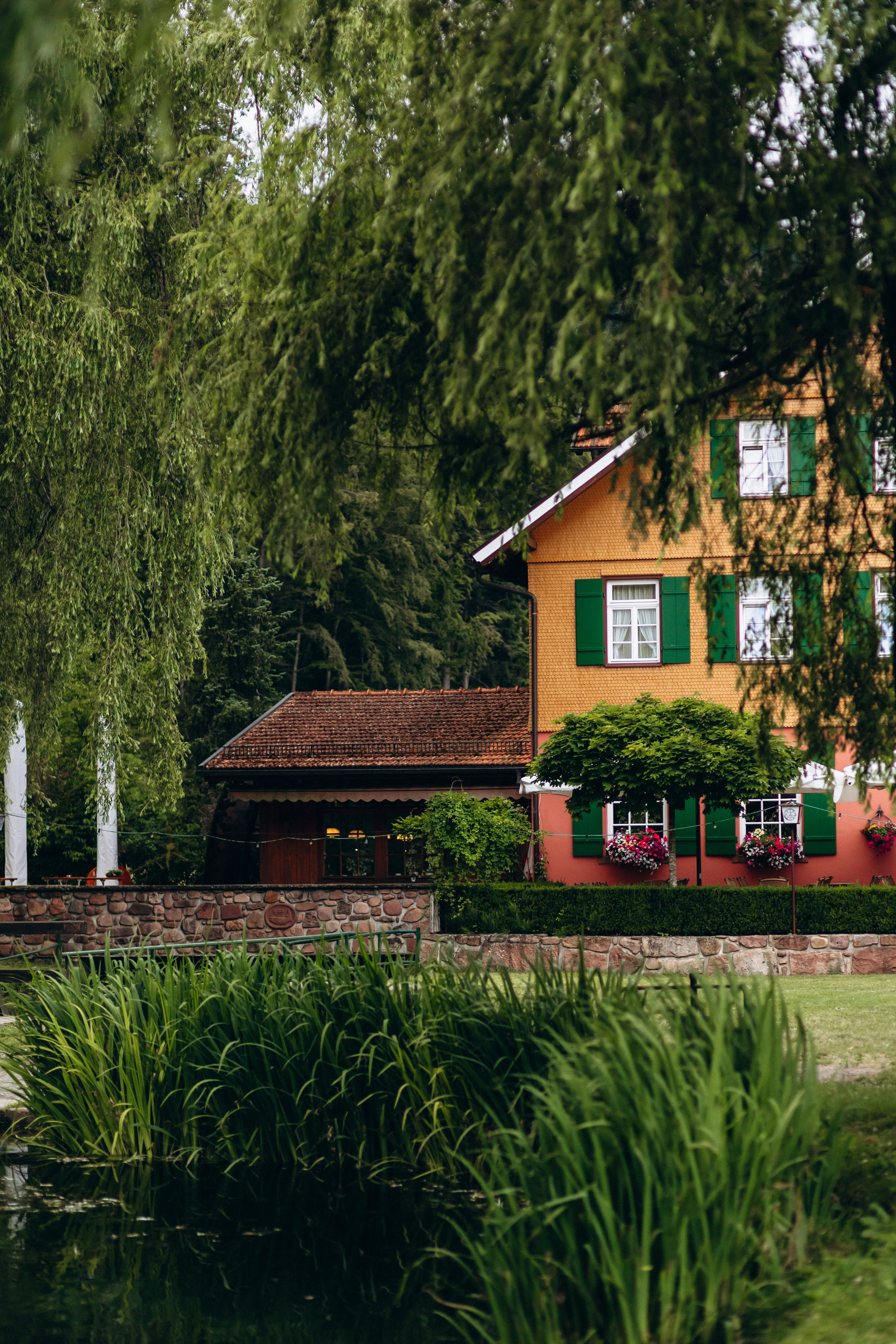 Sasha & Vika& Daniel. Wedding and Family Photograph