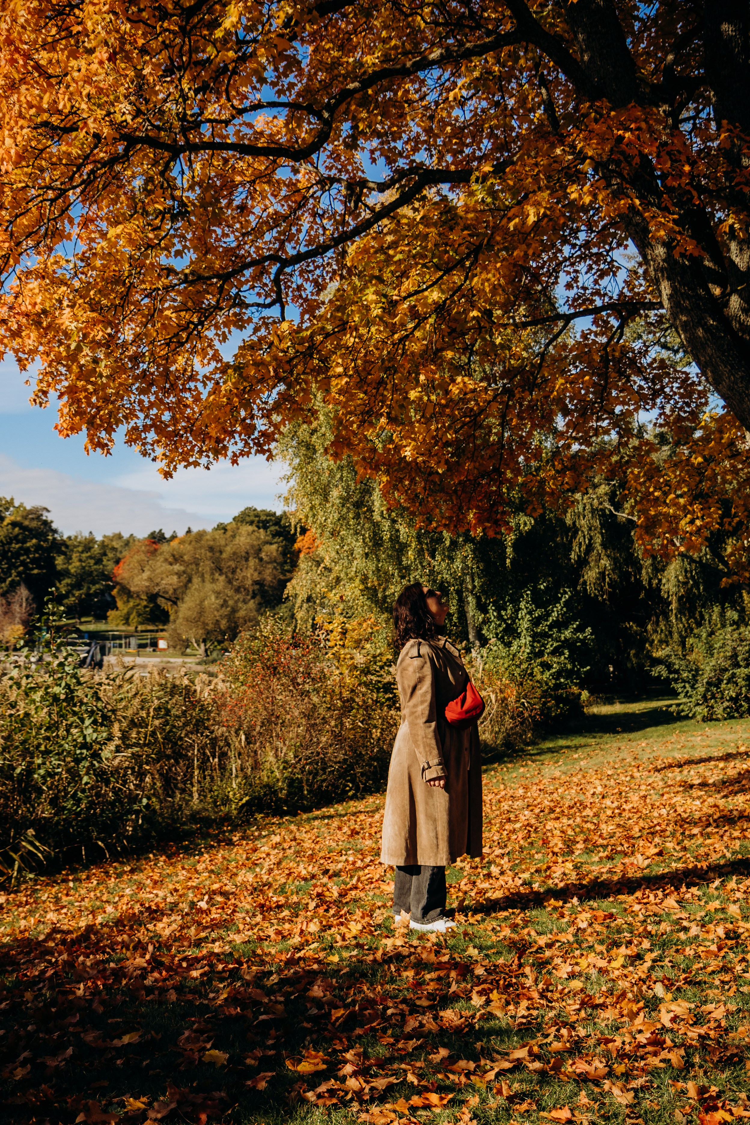 Beautiful autumn. Iryna Zhyvora | Photographer | Stockholm