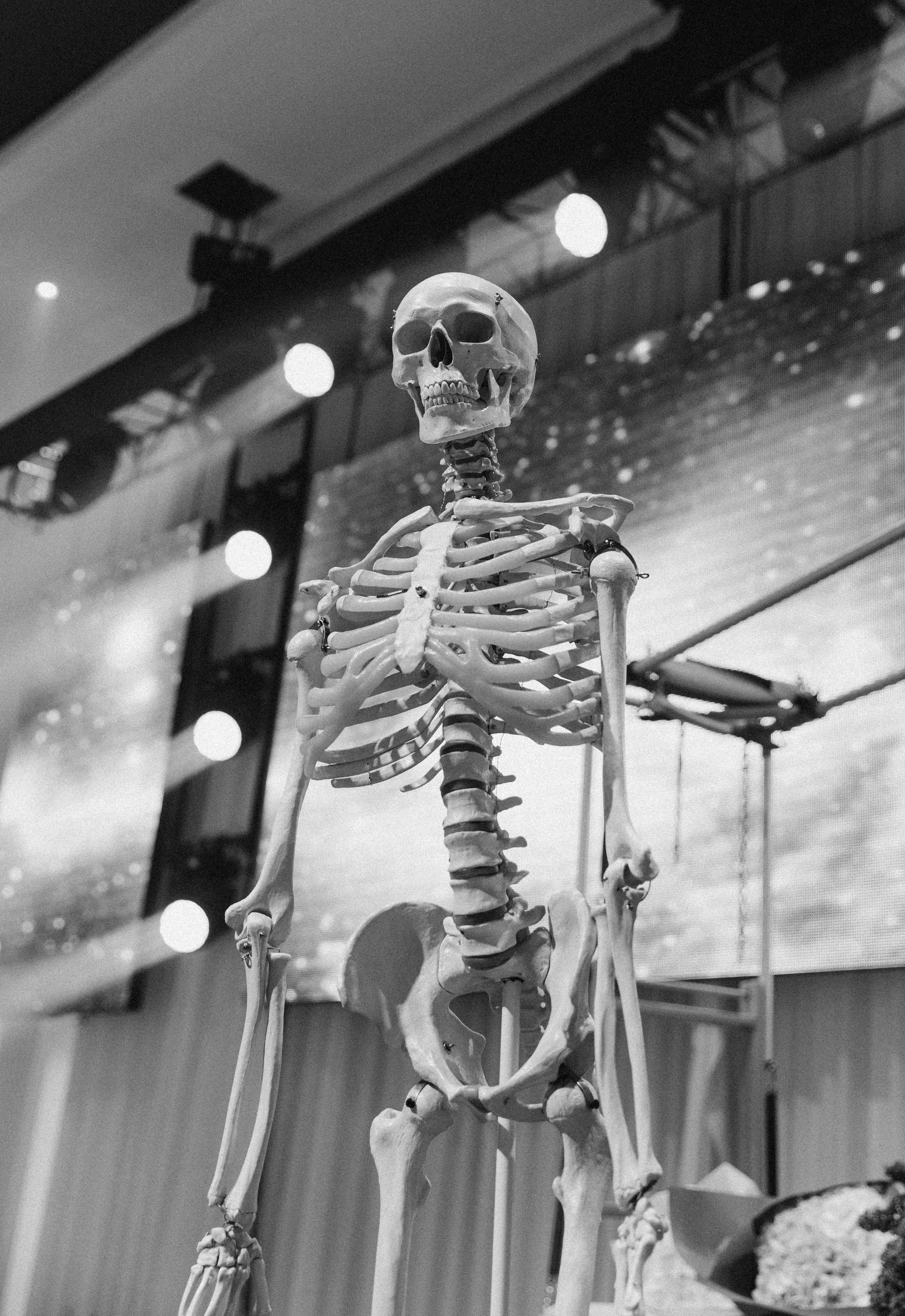 M.Pilates. MATVEEVA STUDIO