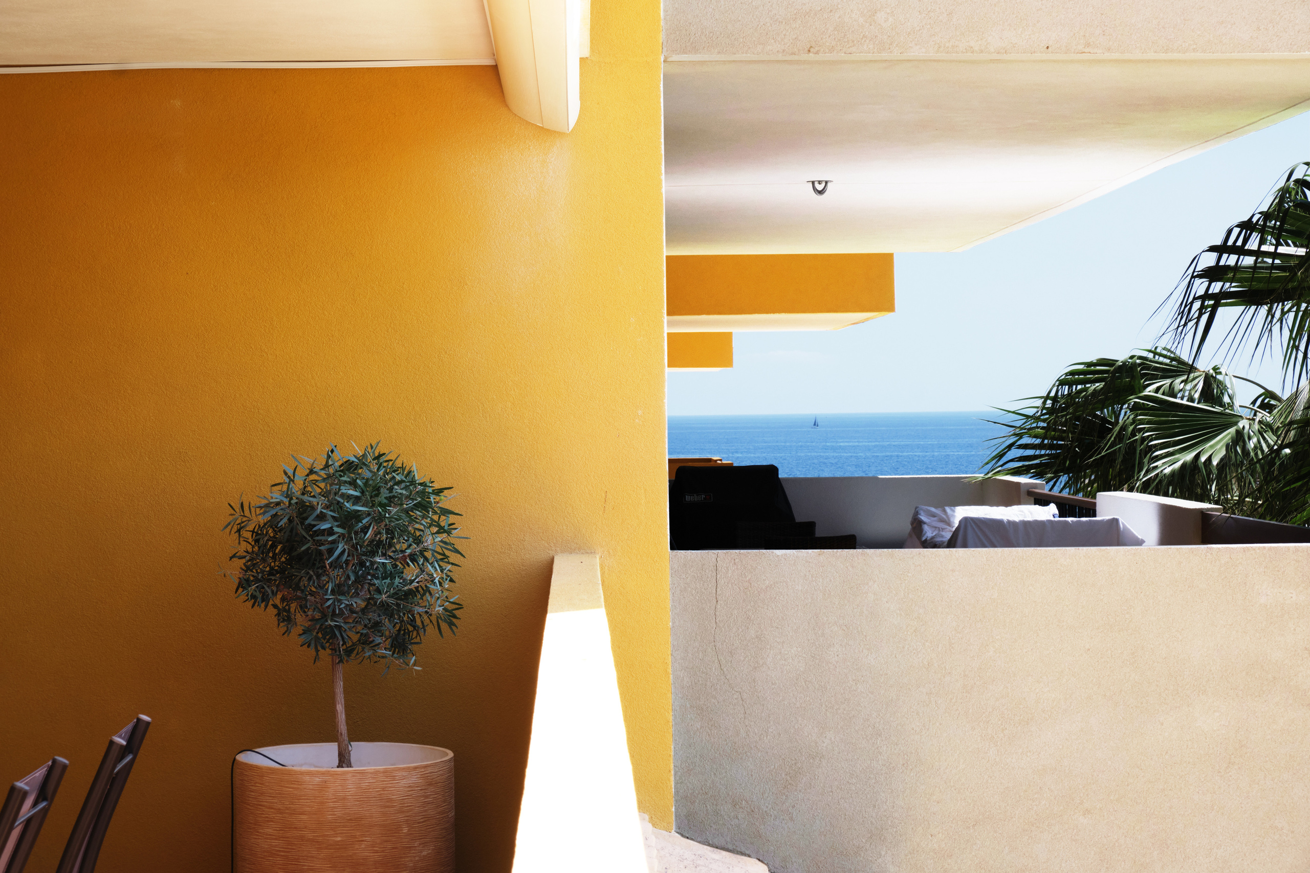 Servicios fotograficos, video y diseño Torrevieja