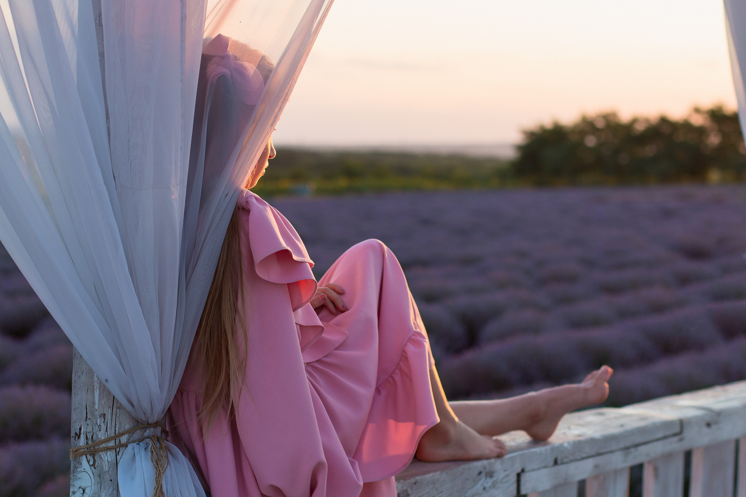 Лаванда. Детский и семейный фотограф в г. Бельцы