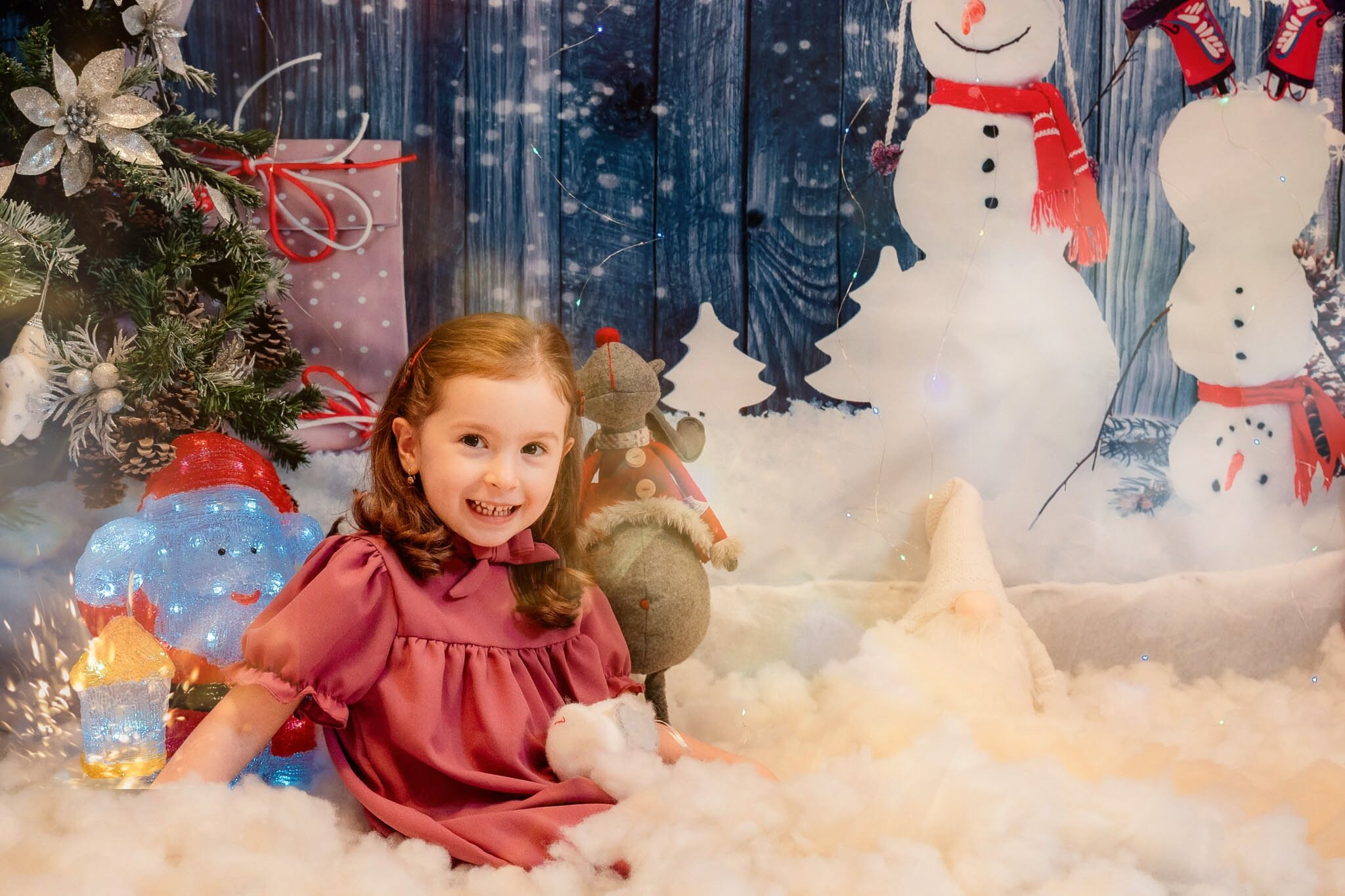 Sedinta Craciun Nicoleta