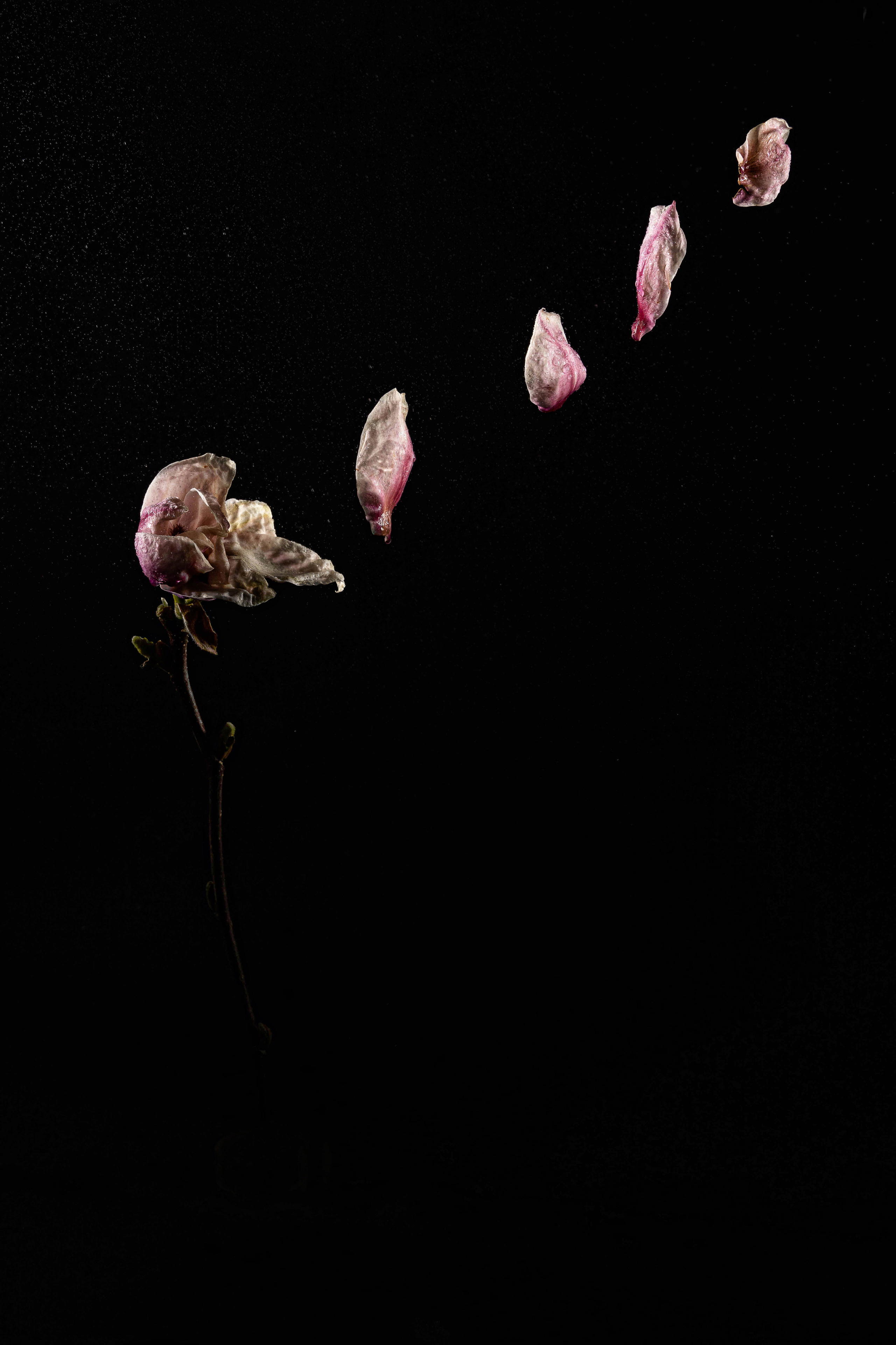 PERSONAL. Vural Sahin I Photography & Videography