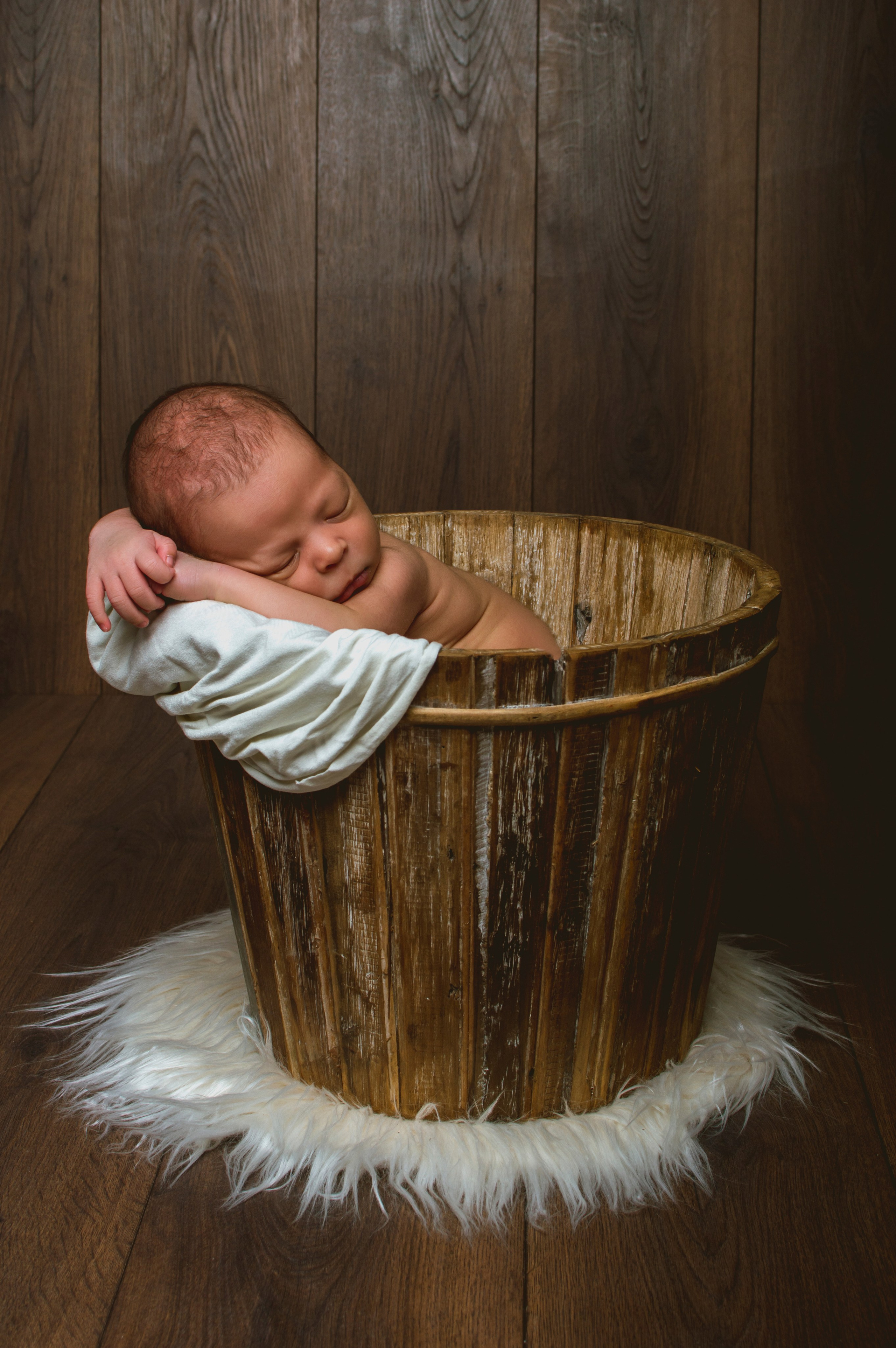Dylan. Fotografía Antonio Luis Bascón