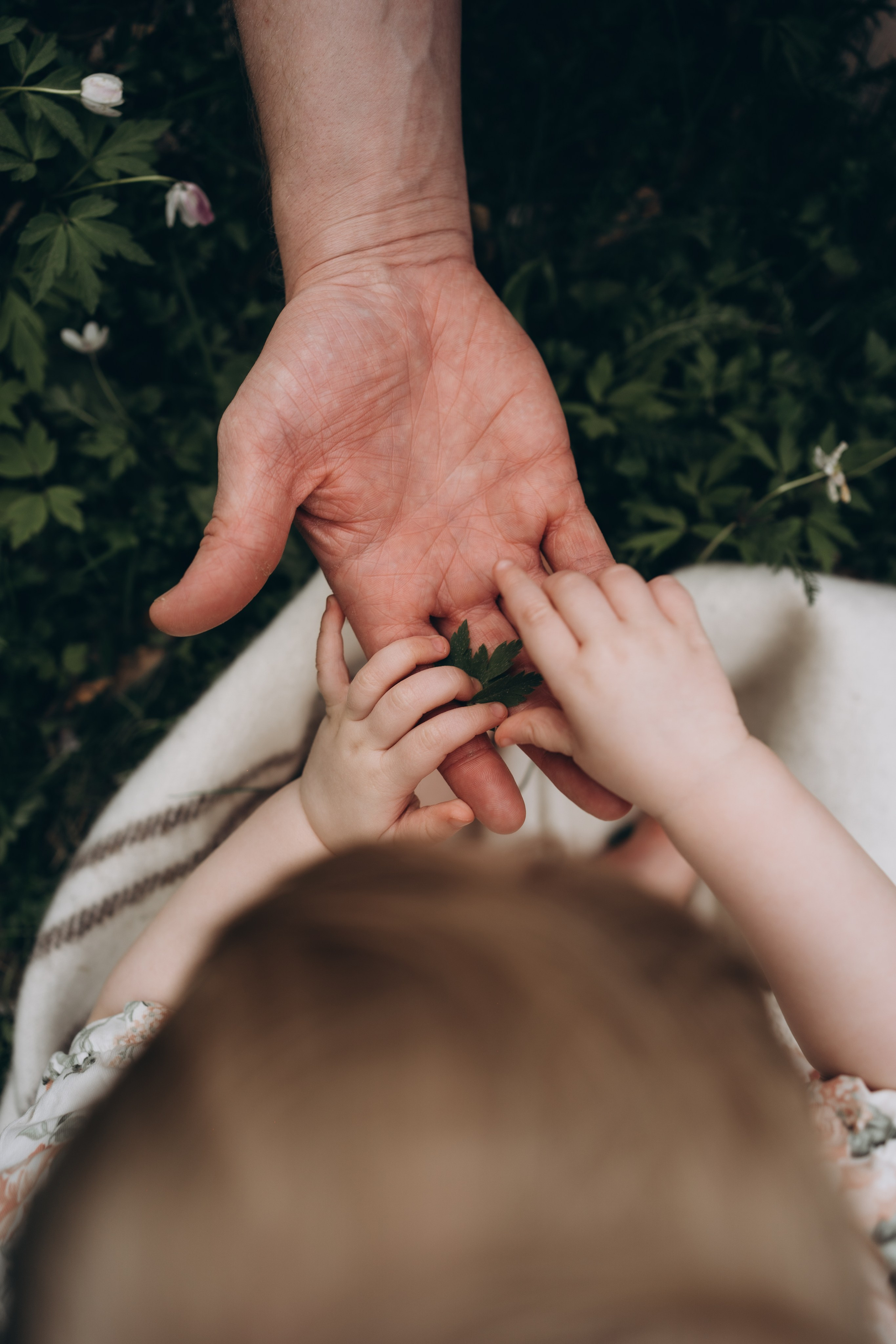 FAMILY BRULAND. Photographer and videographer in Norway and Slovakia Andrea Zemko