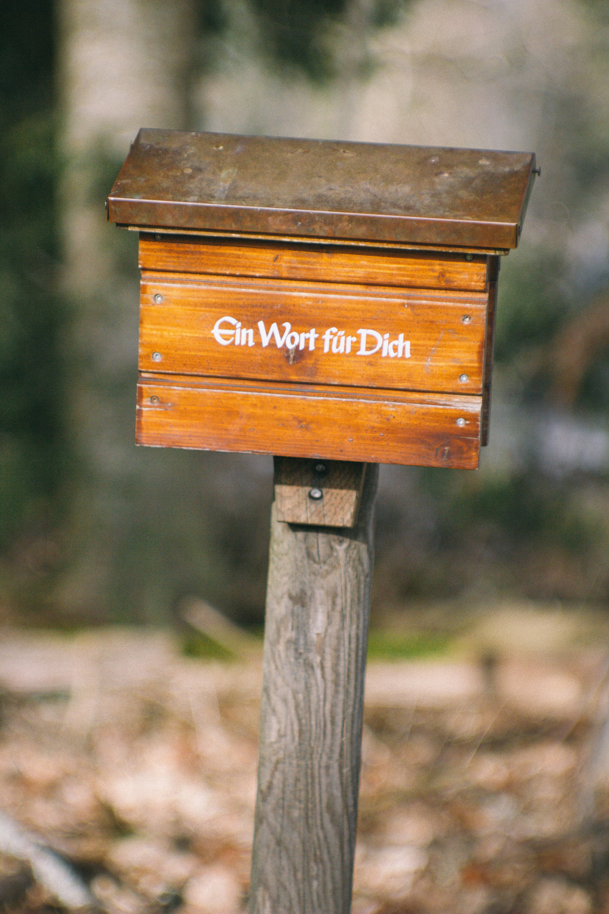 Над вершинами деревьев Baumwipfelpfad. Фотограф в Германии — Мария Чистякова