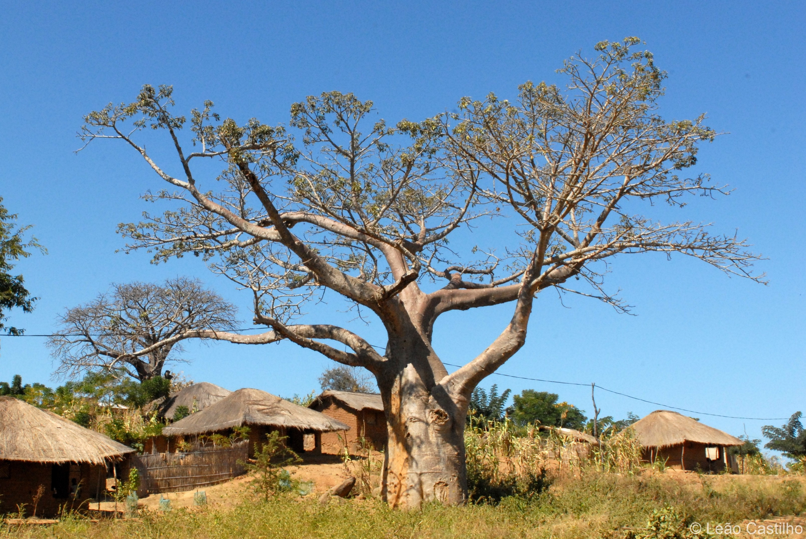 Photos from Mozambique. Simbahalu