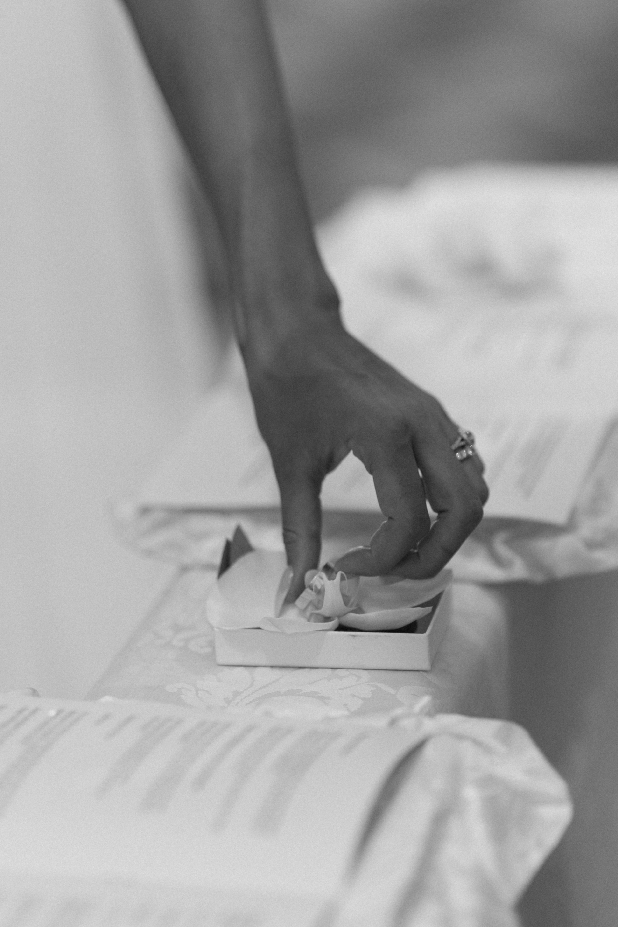 Sofia&Falk. Wedding photographer Italy