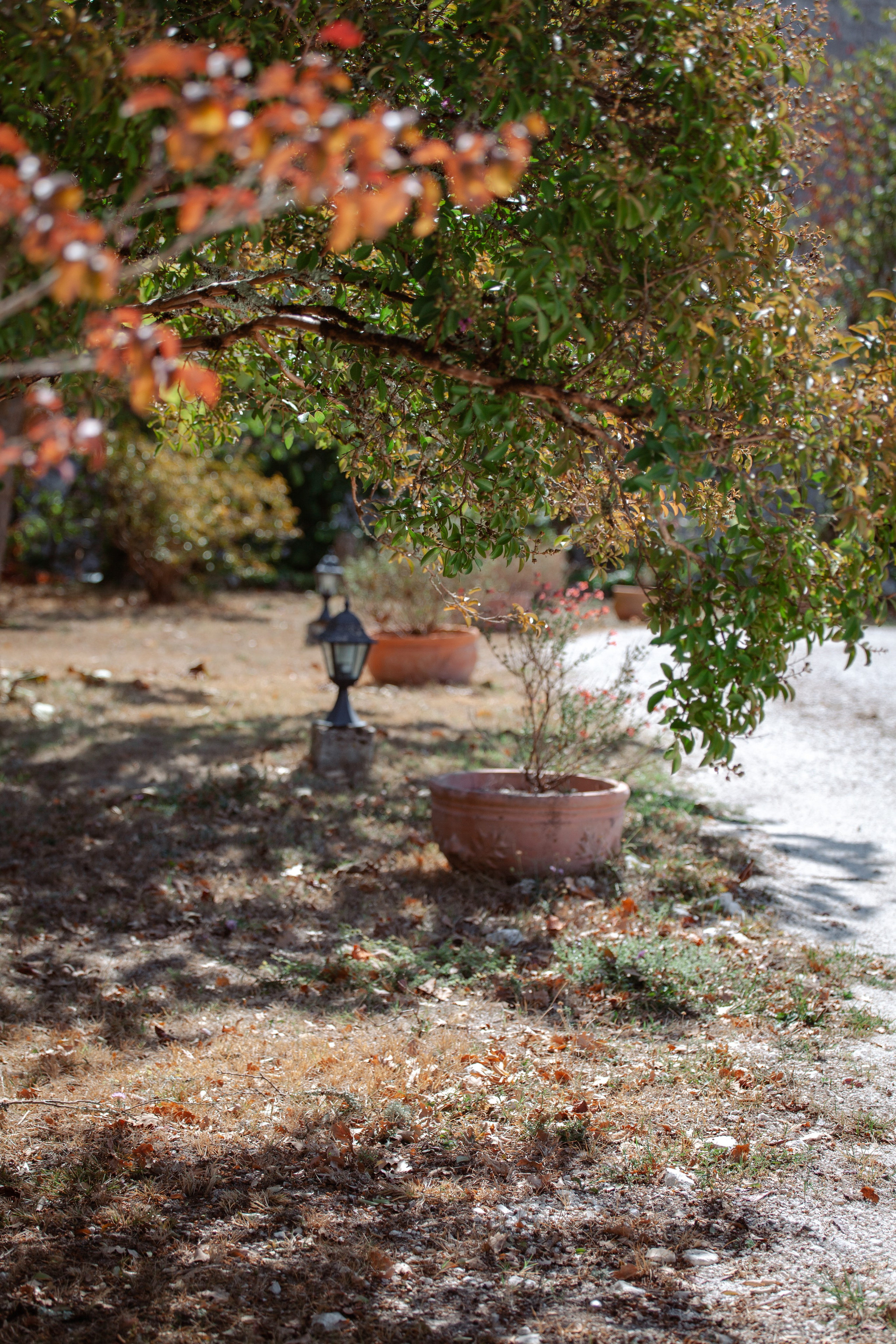Jamie and Matt. Wedding at Château de Goudourville. Евгения Смирнова — фотограф в Тулузе и юго-западной Франции