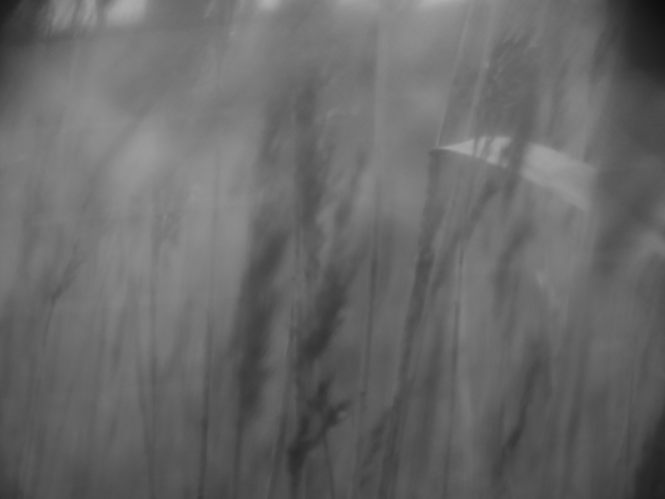 Demyd — art collection