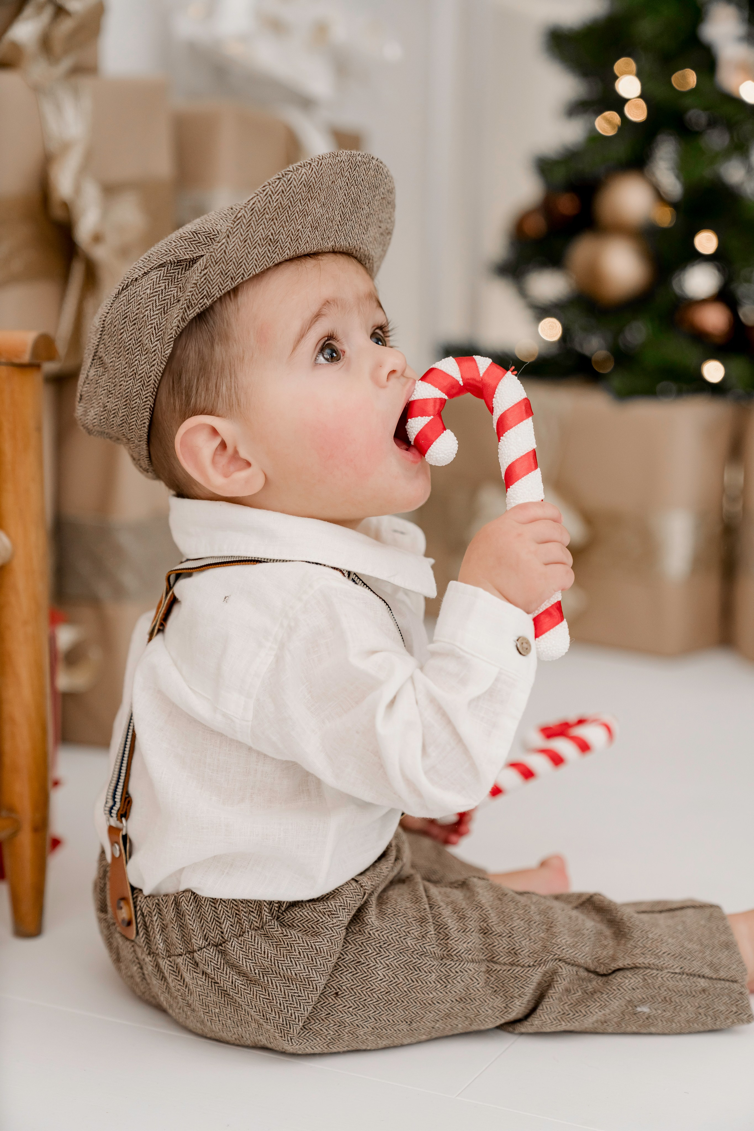 NOËL 2024. Florica Ghiriti - photographer in Paris