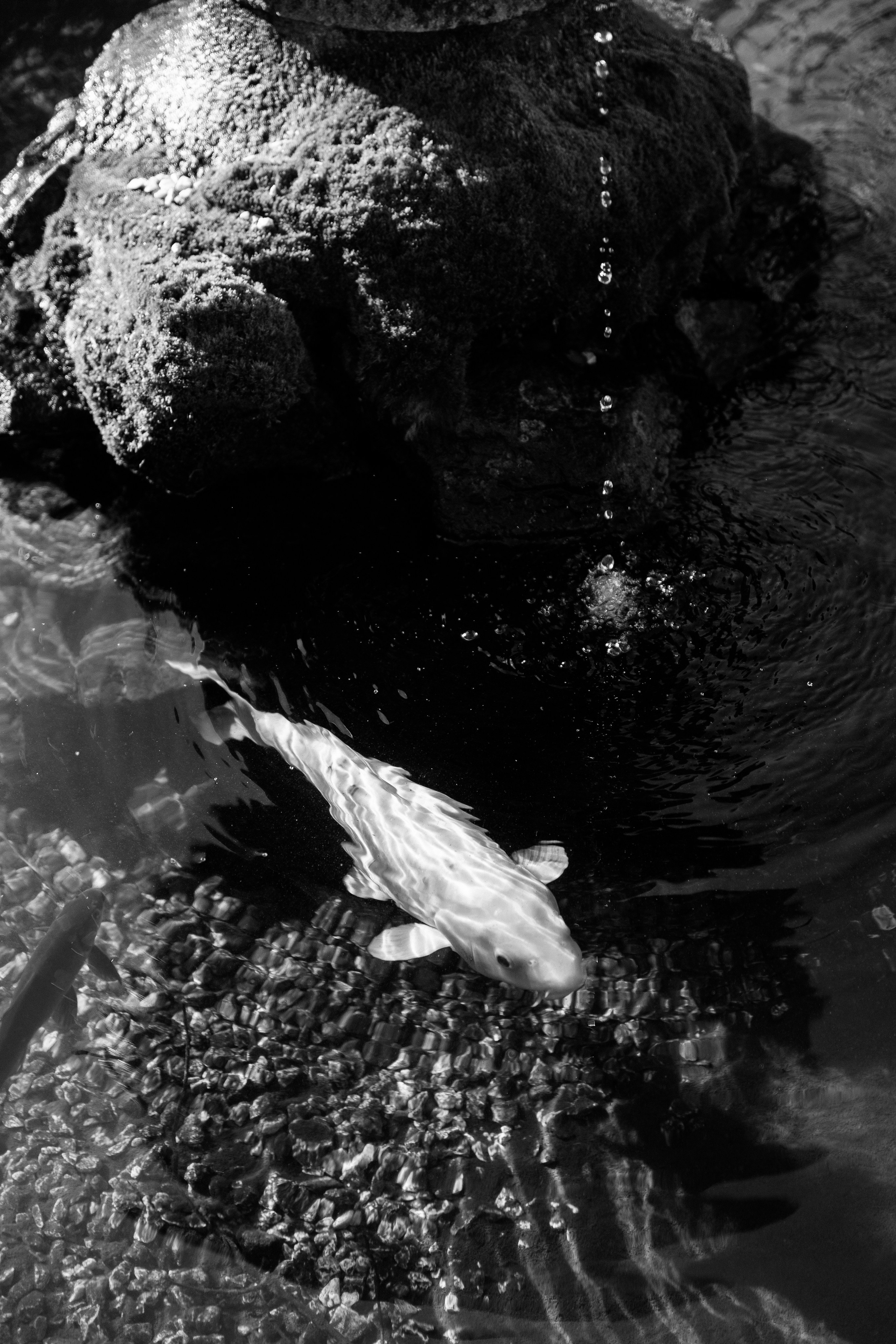 Wedding photographer in Rome, Tuscany, Lake Como, Sicily, Puglia, all. Wedding Photographer Rome Tuscany Como Sicily Puglia Amalfy Italy- Oksana Savenchuk