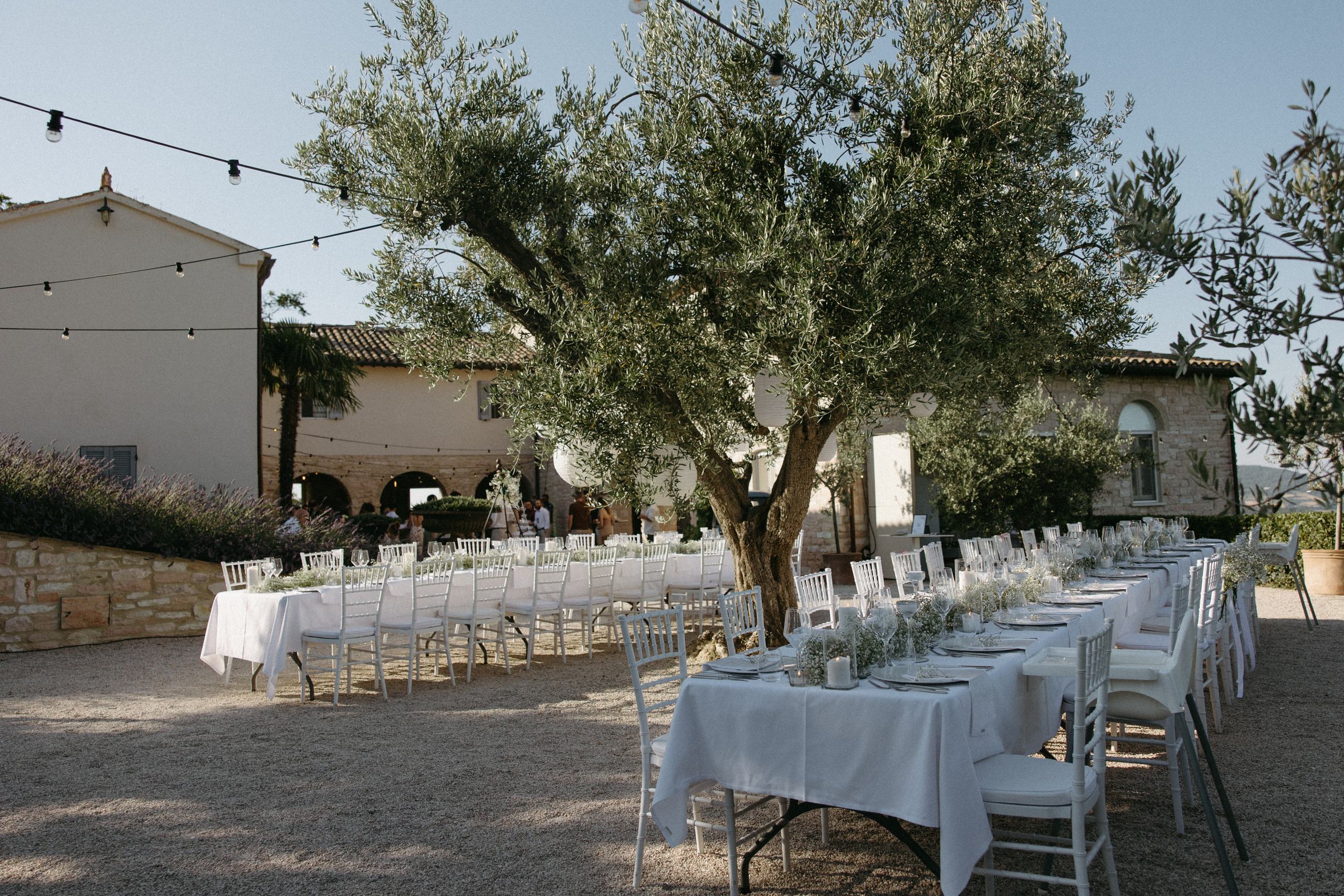 Sofia&Falk. Wedding photographer Italy