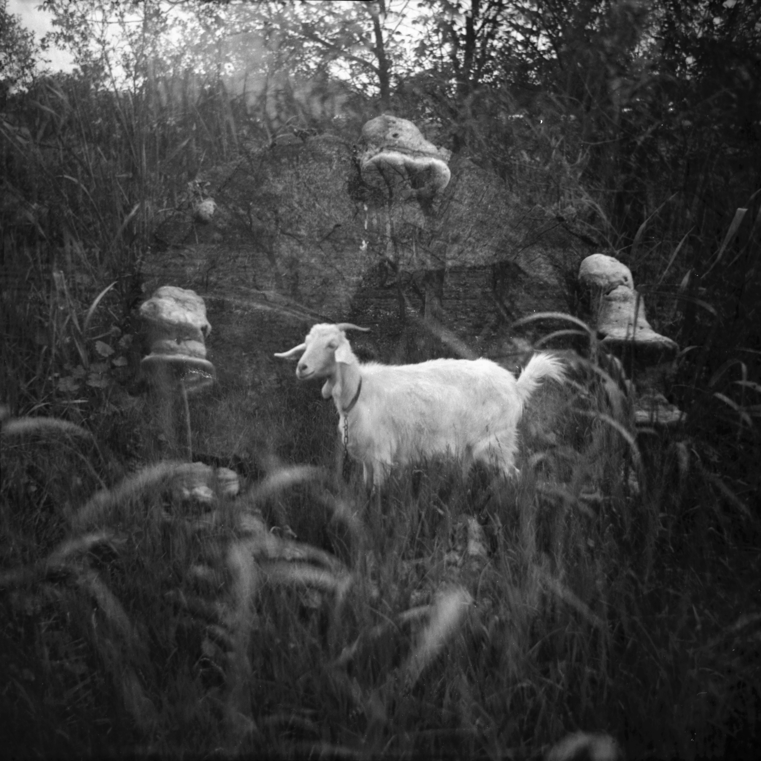 Tender Infinite Souls. Natalia Parfenova visual artist film photographer