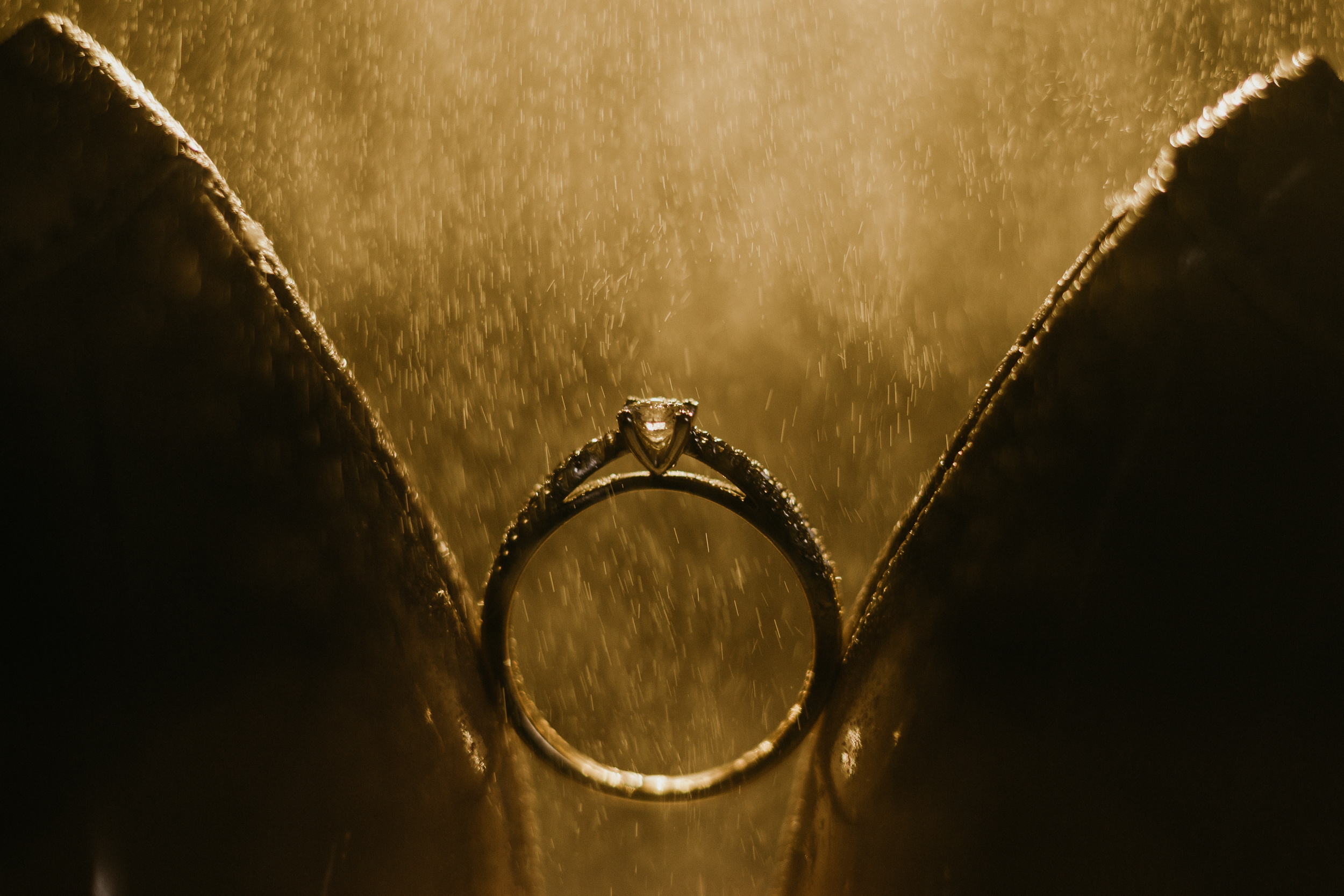 Hochzeit Fotoshooting in Hamburg Afterwedding fotoshooting Wedding, Fo. Fotografin Hamburg Reinbek Elizaveta Romanova