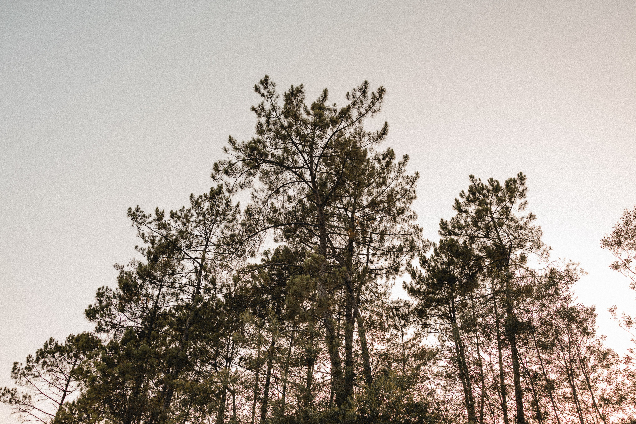 Bruno & Filipa. Photographe de mariage et de famille à Braga — Alexandra Mieres Photography