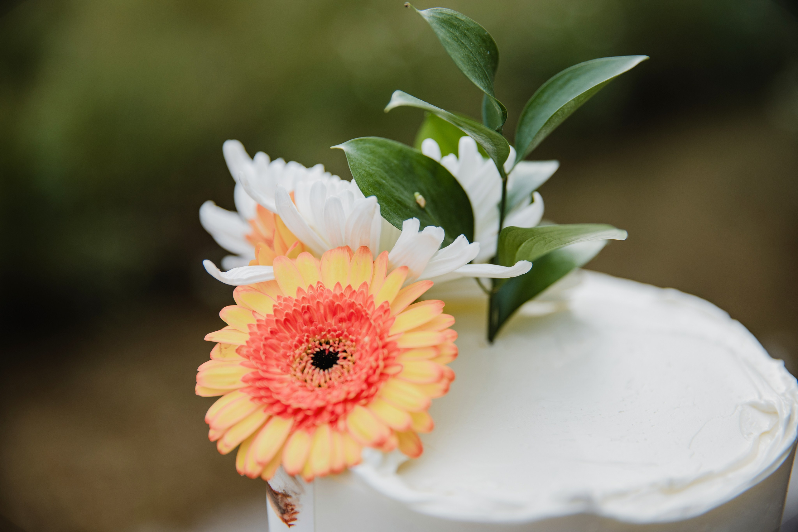 Sesión de Fotos de Cumpleaños en Madrid | Smash Cake, 15, 19, 40 Años – Rainbox Estudio. Rainbox Estudio de Fotografía