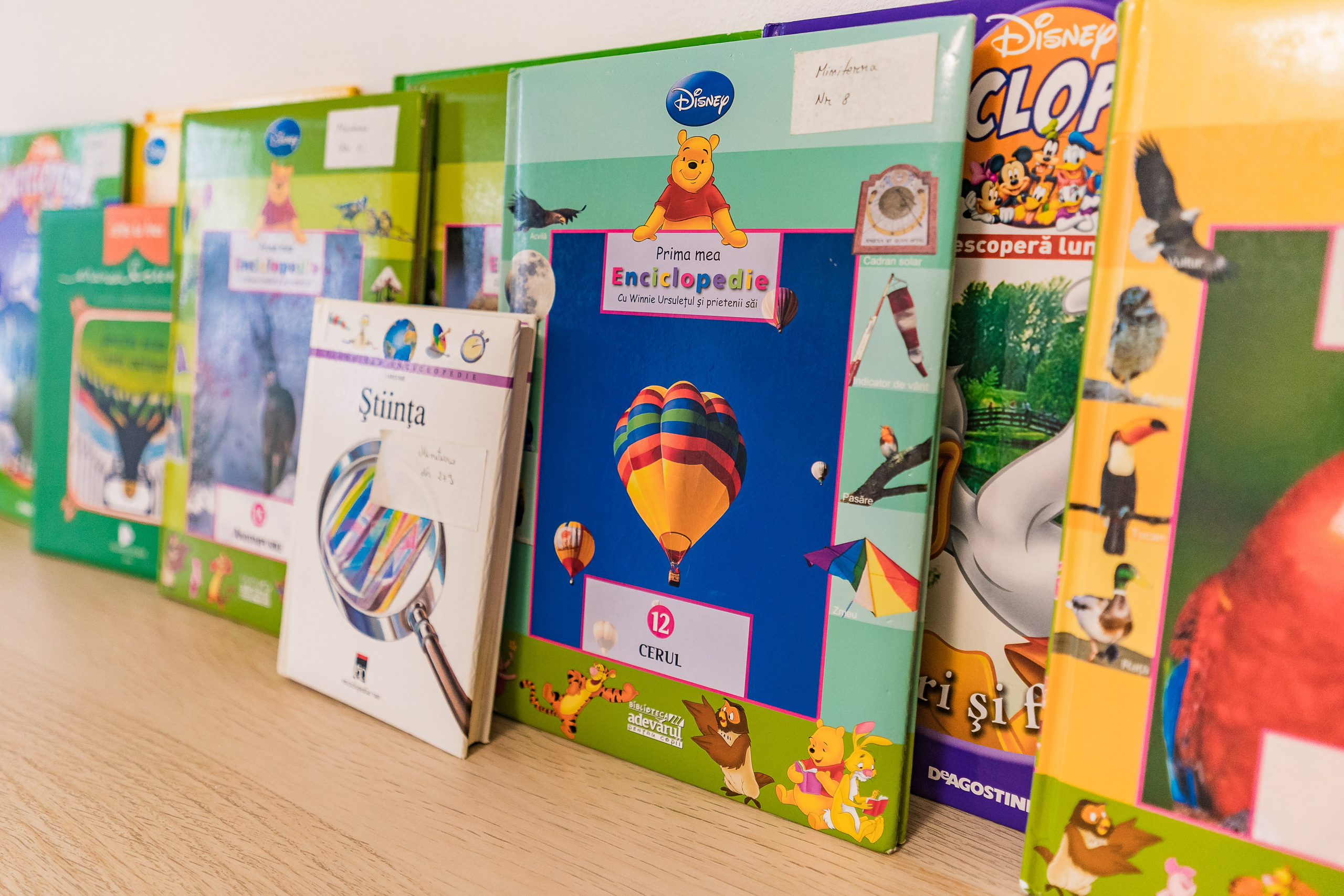 Miniterra Carusel. Liviu Andrei - Fotograf