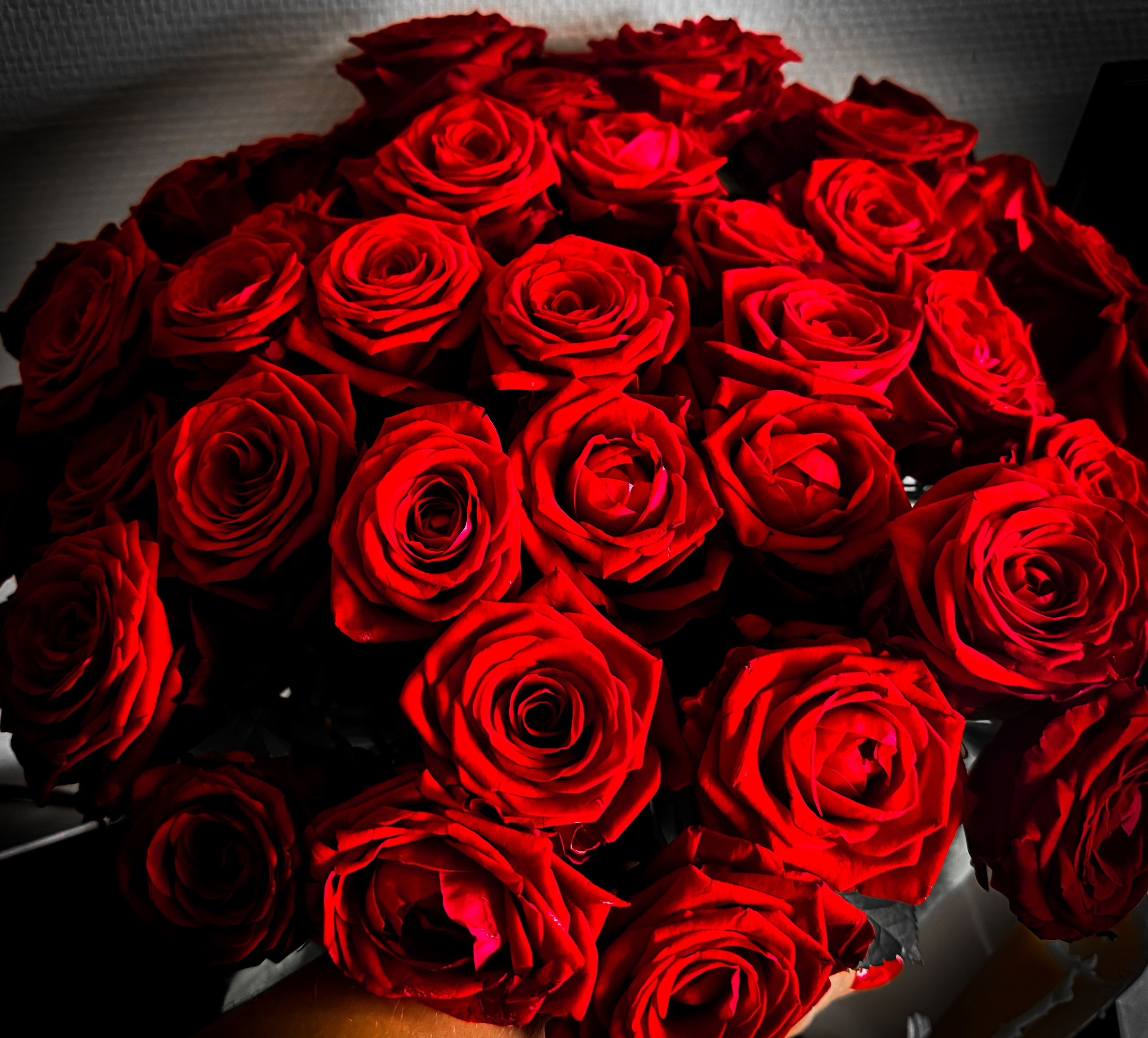 Ästhetik. Fotografin Kati Rebling