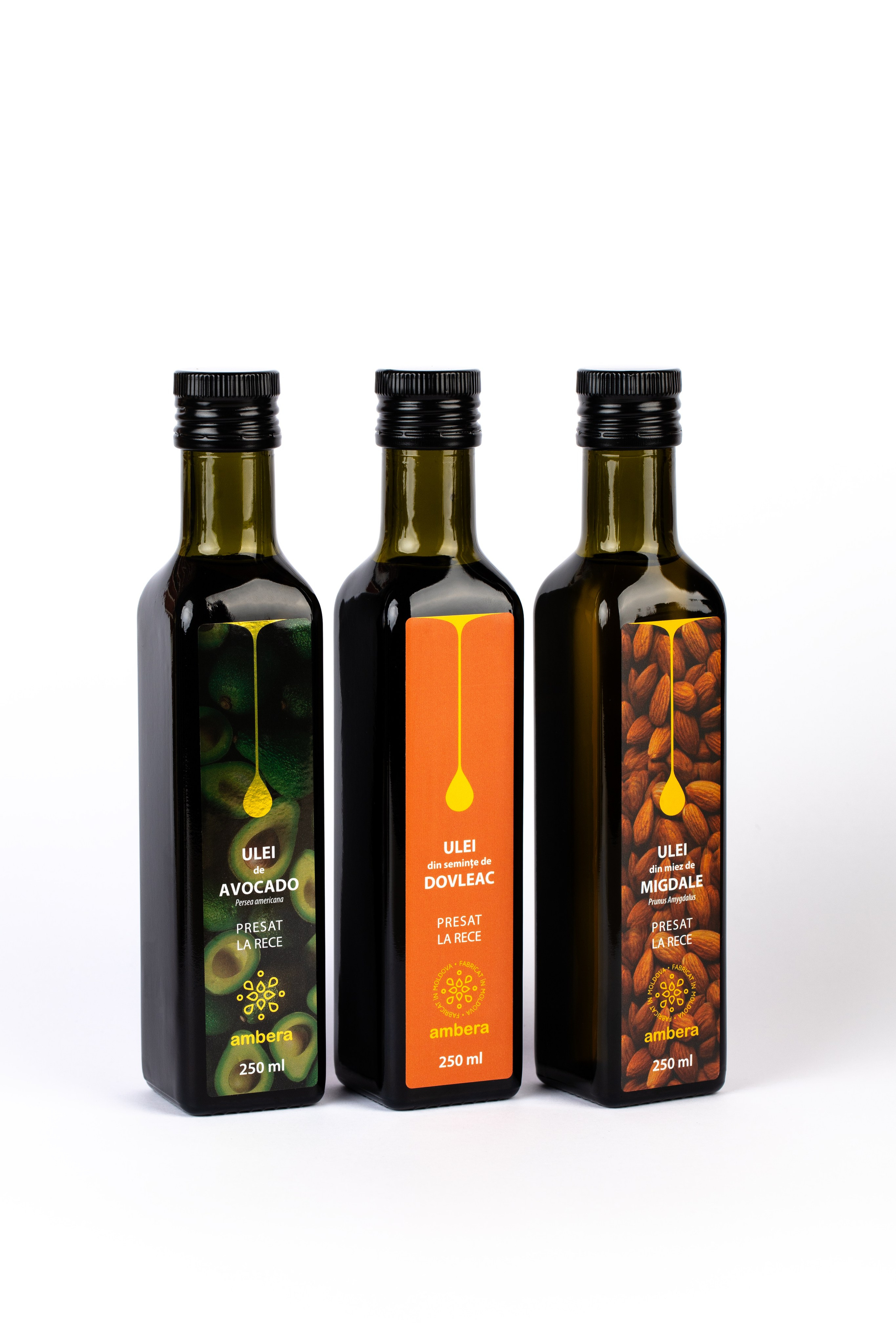 Catalog. Fotograf și Videograf | Chișinău, Moldova