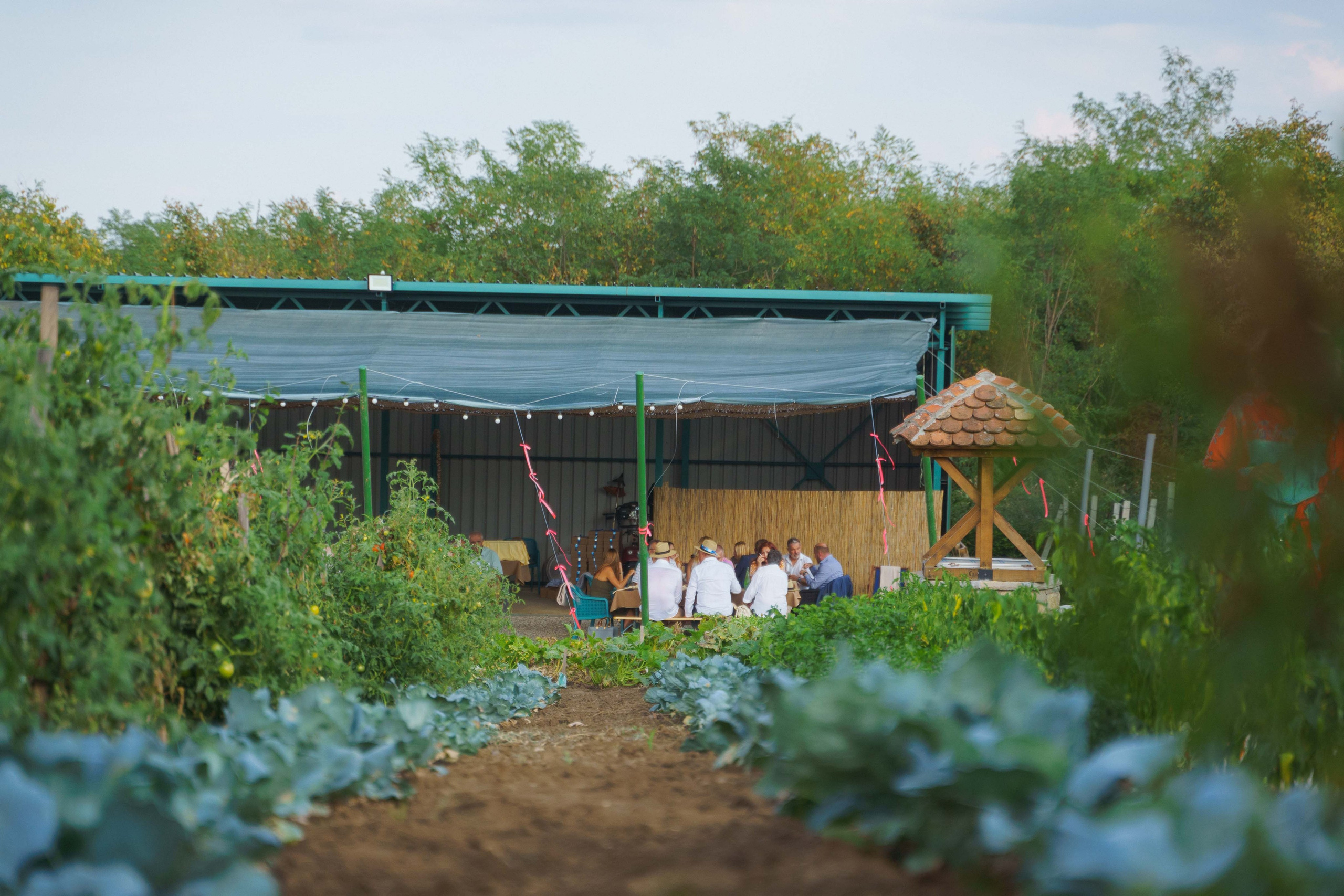 Jeep Commerce Event. Zhukov studio