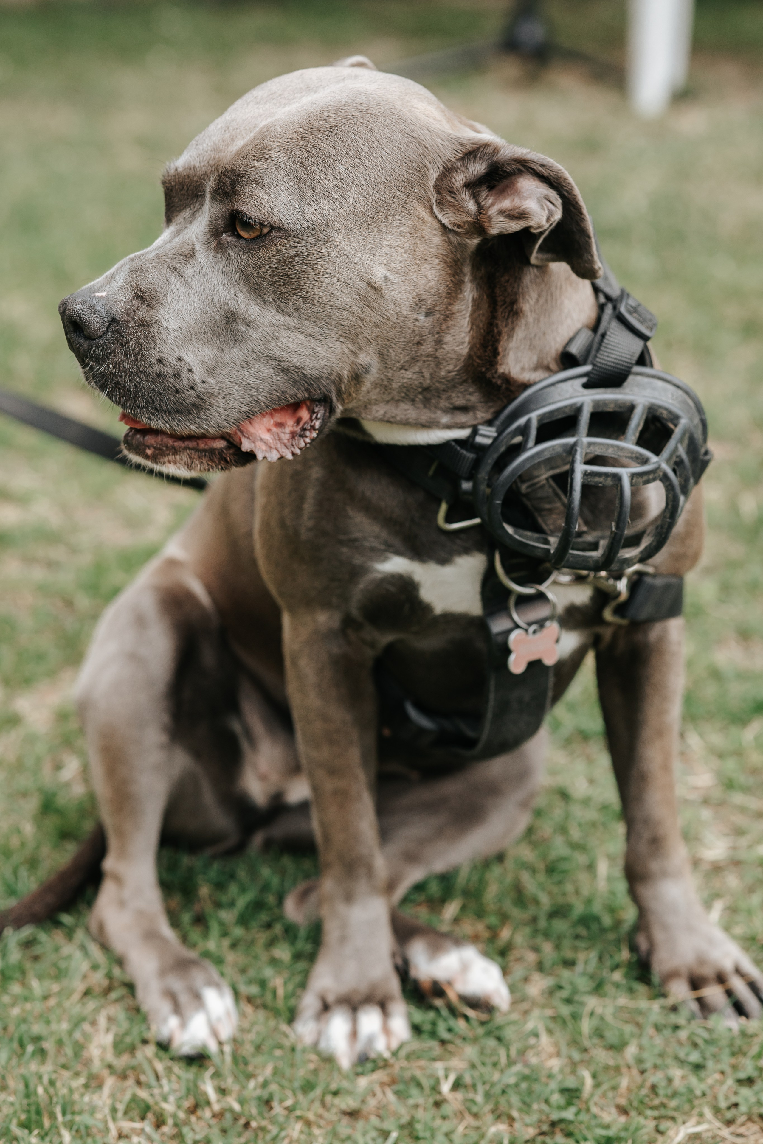 Rachel+Hector, 07.06.2025, Mas Coromina. Fotógrafa de bodas en Cataluña
