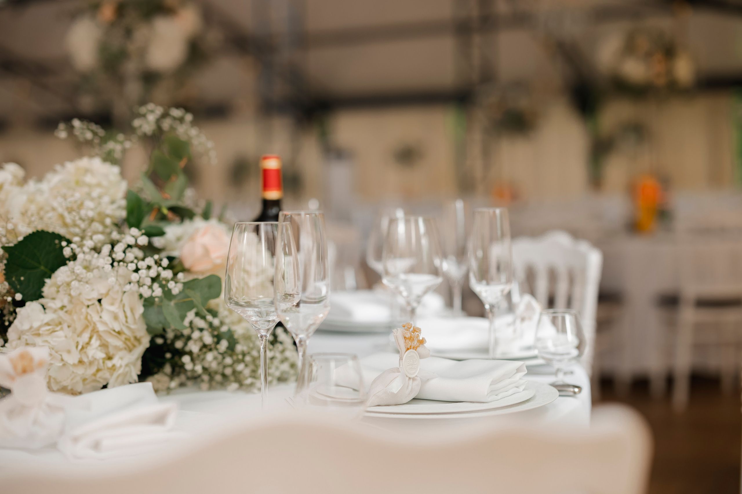 Château des Hauts de Provins Bella & Dmitri