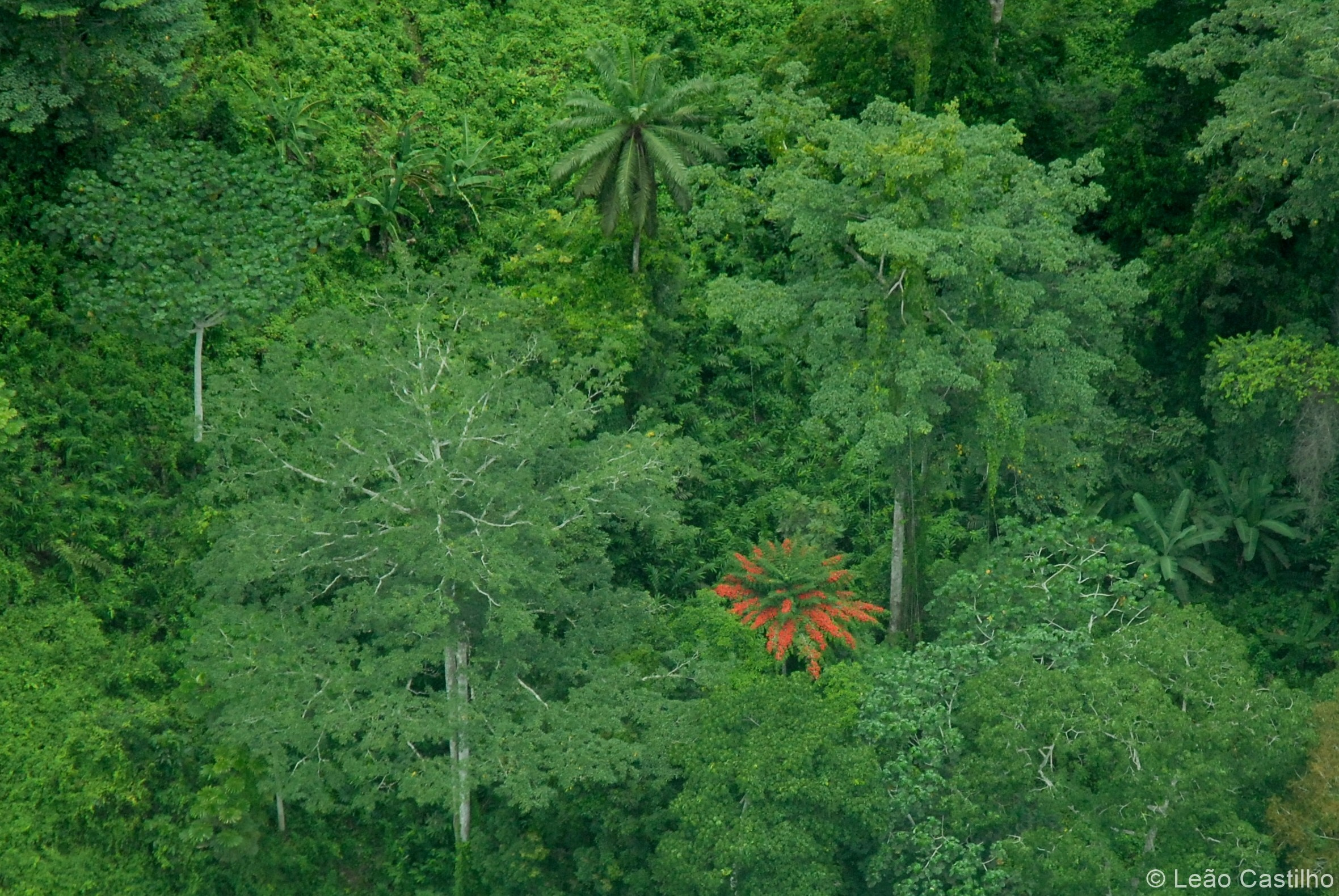 Aerial photos. Simbahalu
