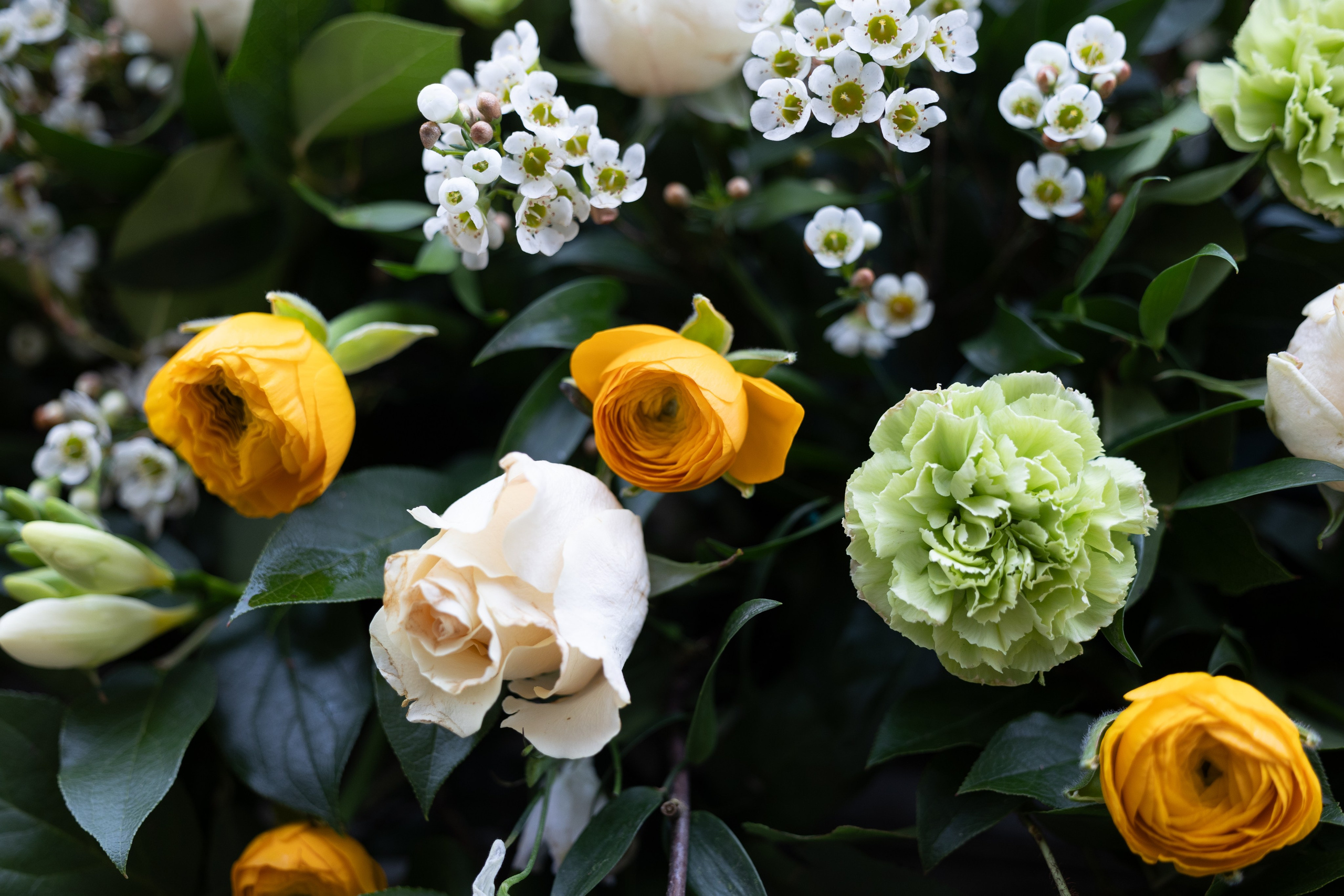 Blomsterne er arrangeret tæt på hele kistelåget, som giver et overdådigt kiste. De flotte grønne, hvide og gule nuancer er kombineret smukt i sæsonens blomster. Et unikt farvel der tager sig elegant ud i kirkerummet.