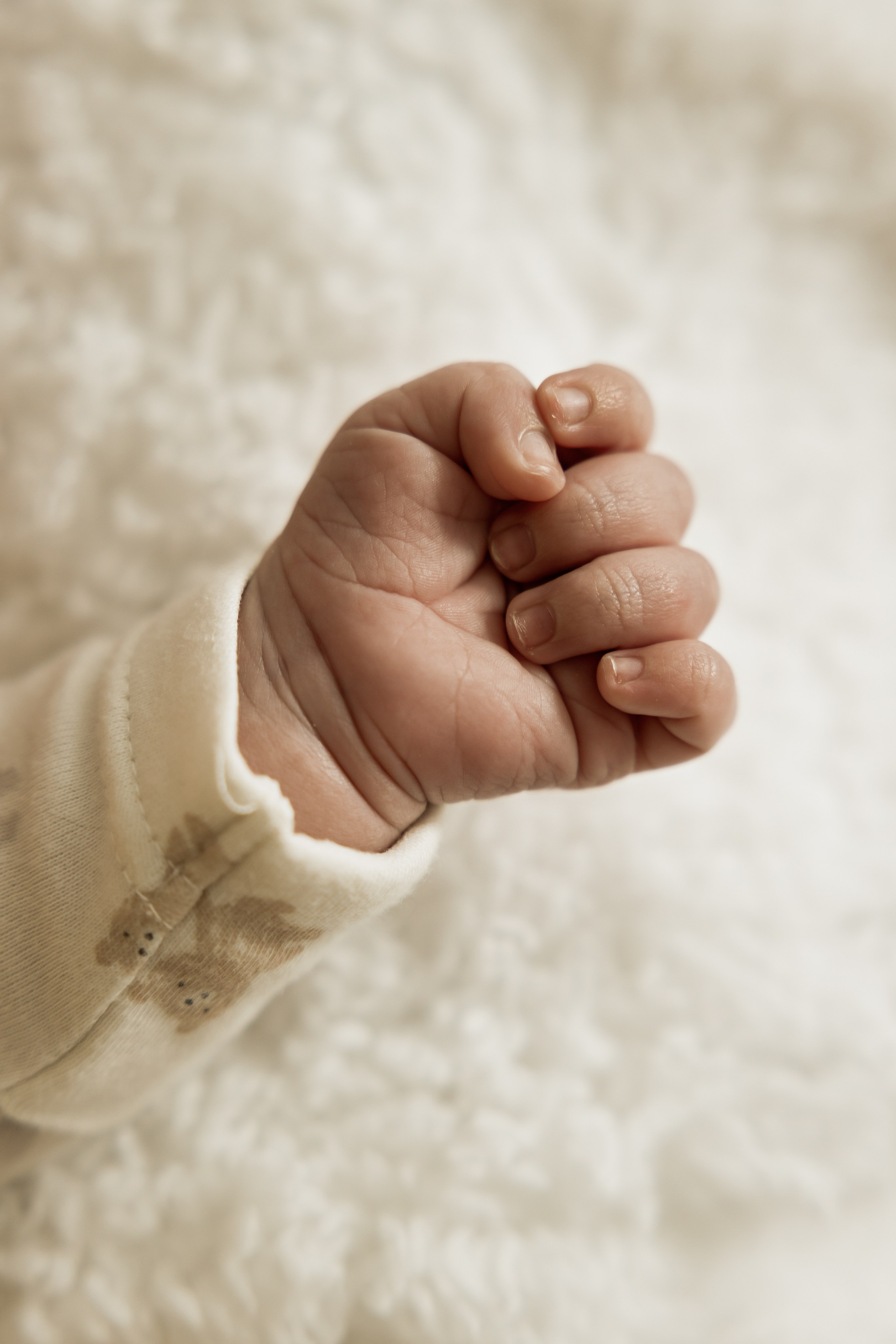 Raiu family. Portrait and Family Photographer in Netherlands