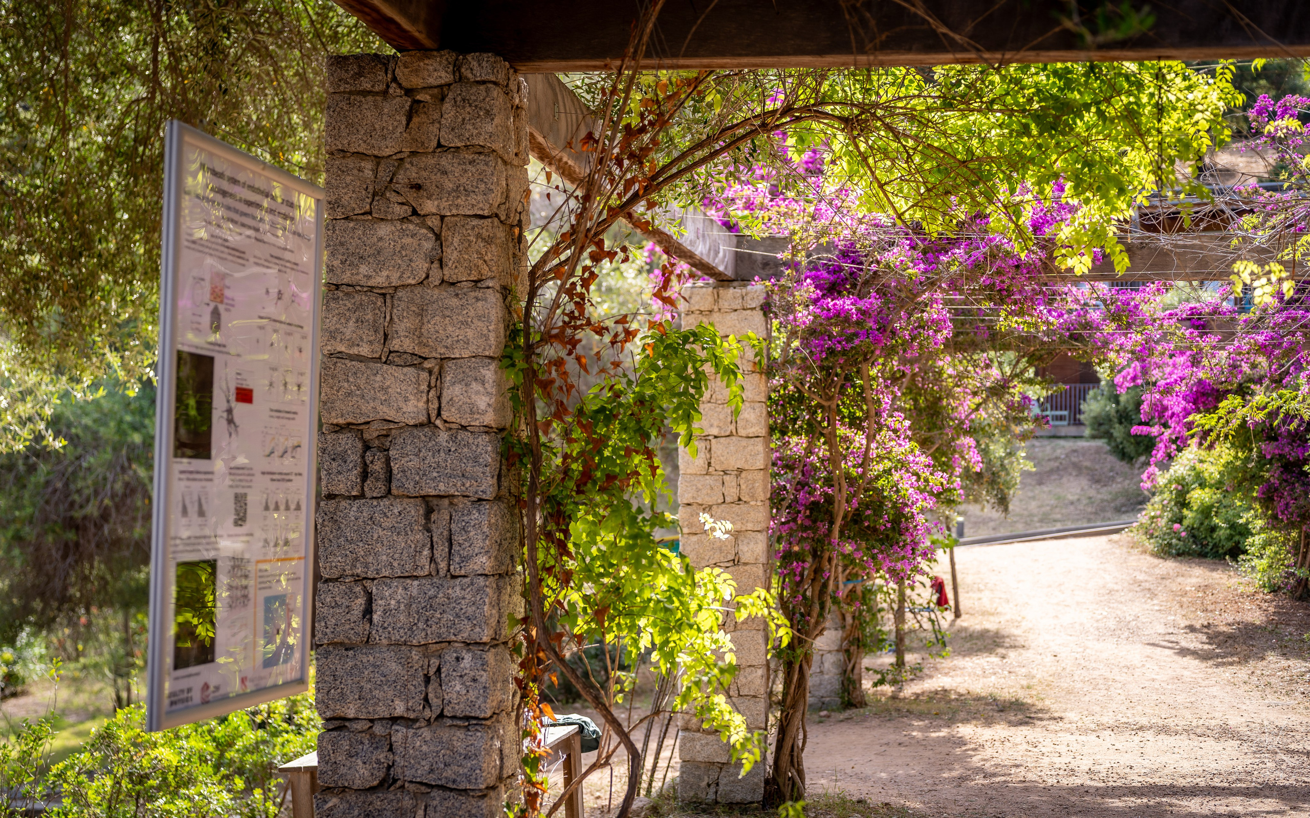 FLOWTIME: the 6th Cargèse summer school. Expect Miracles Photography by Kate & Andrew