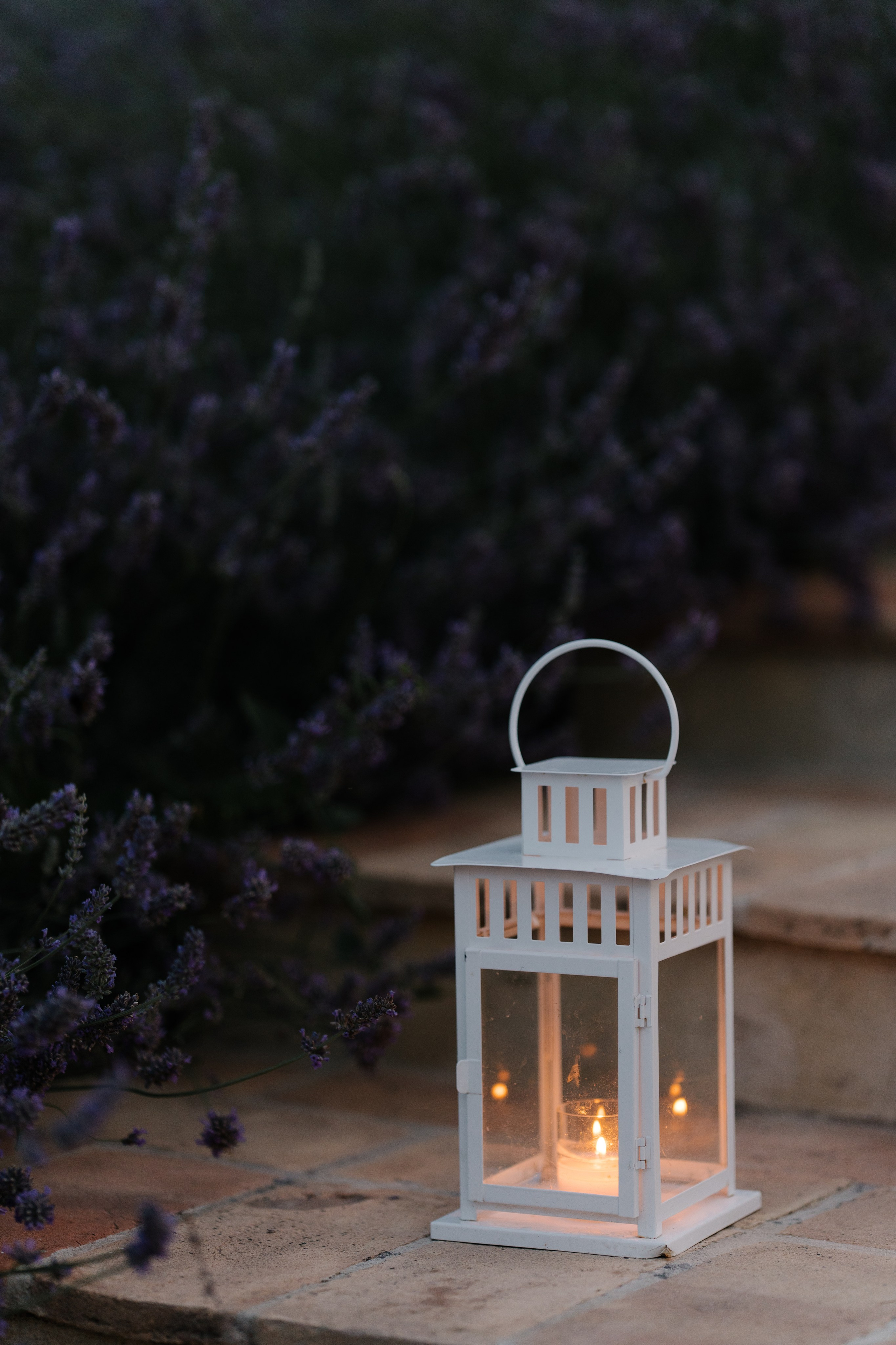 Sofia&Falk. Wedding photographer Italy