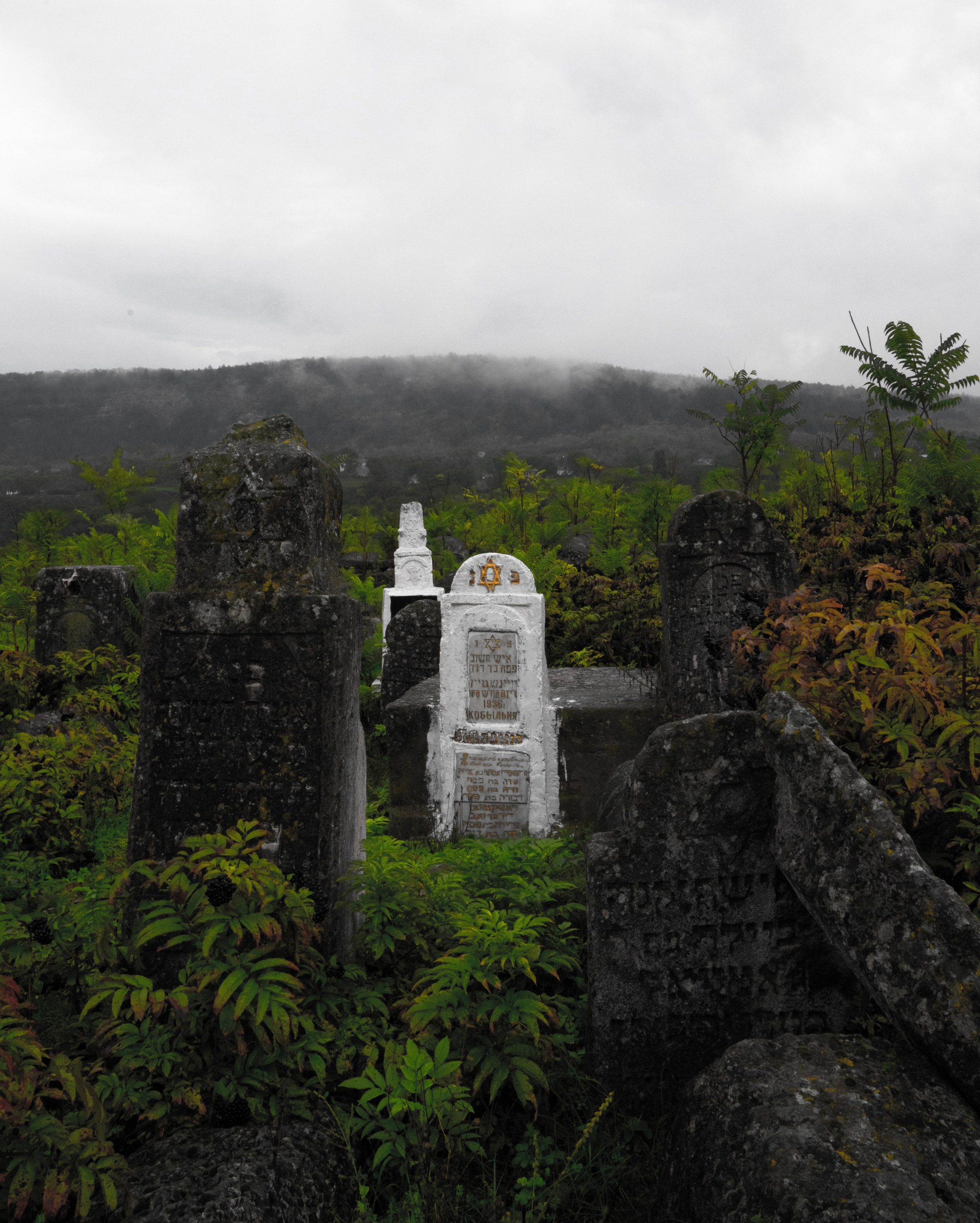 Lucrările cursanților Nivelului III. Școala de fotografie lui Roman Ribaliov. Orașul Chișinău, Moldova