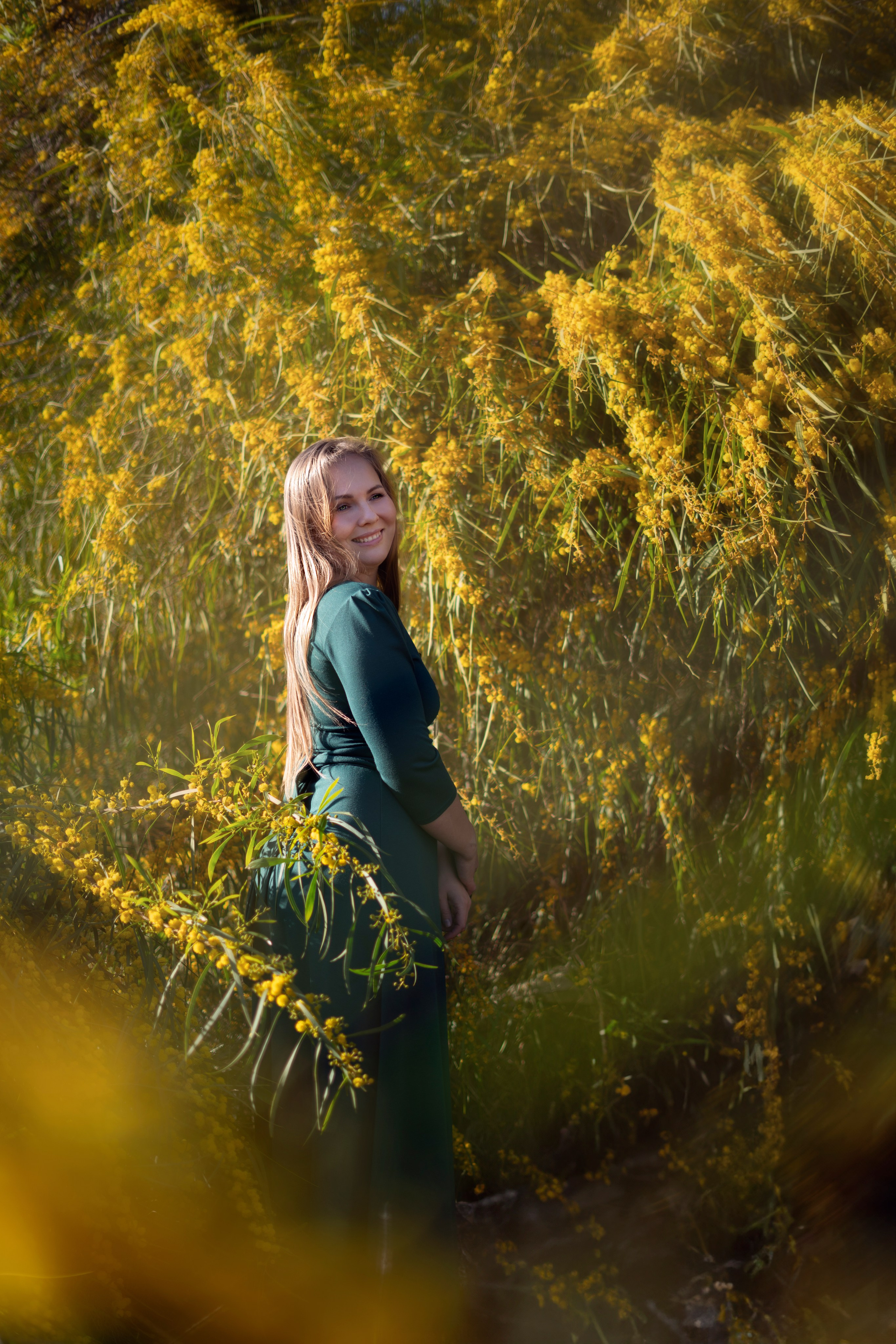 Мимоза. Анастасия Благова — Твой фотограф в Малаге 🇪🇸