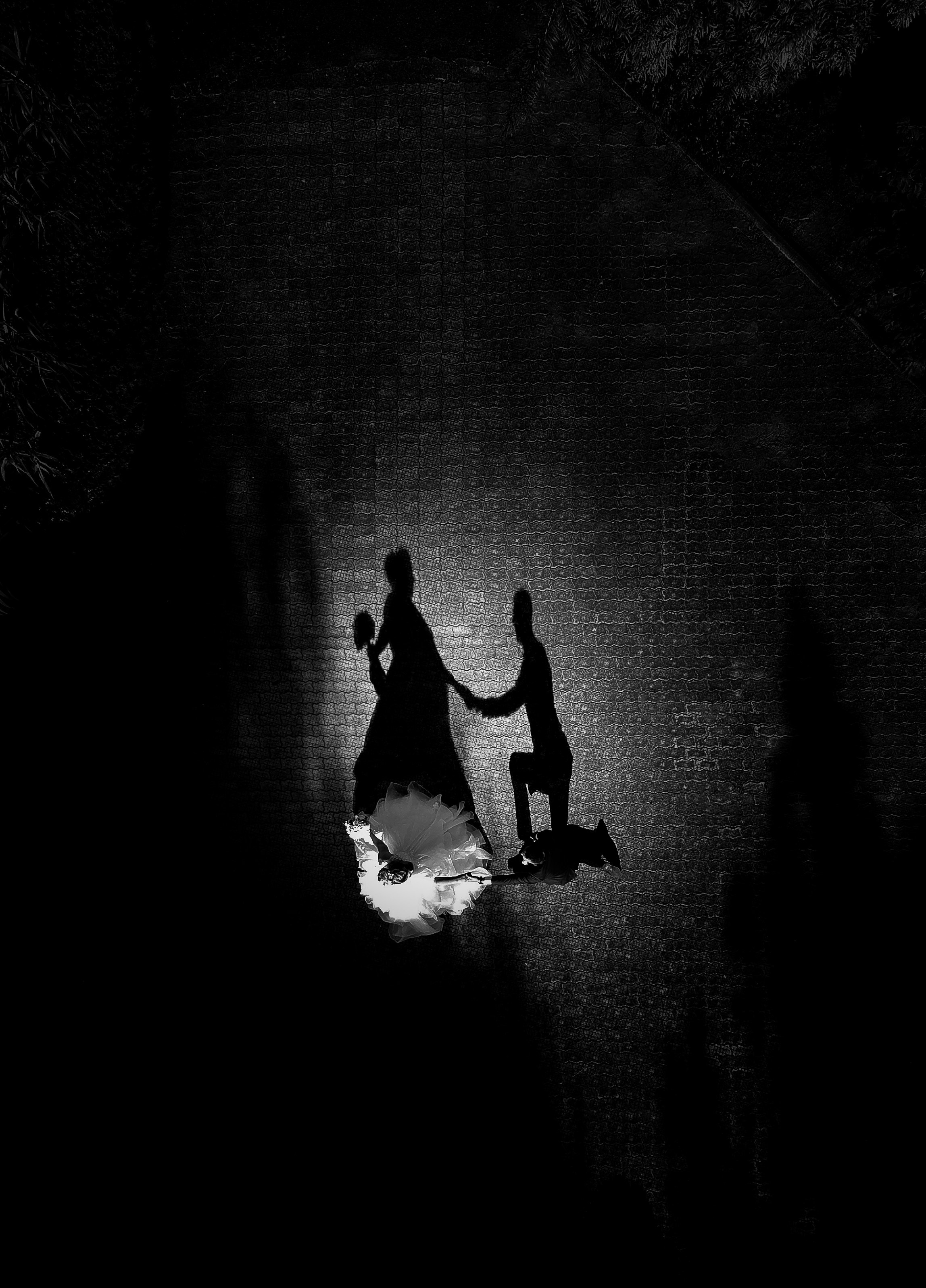 Portofoliu Fotograf Nunta Tulcea — Selectii | Codux. Codux — Fotograf Tulcea | Fotograf Evenimente