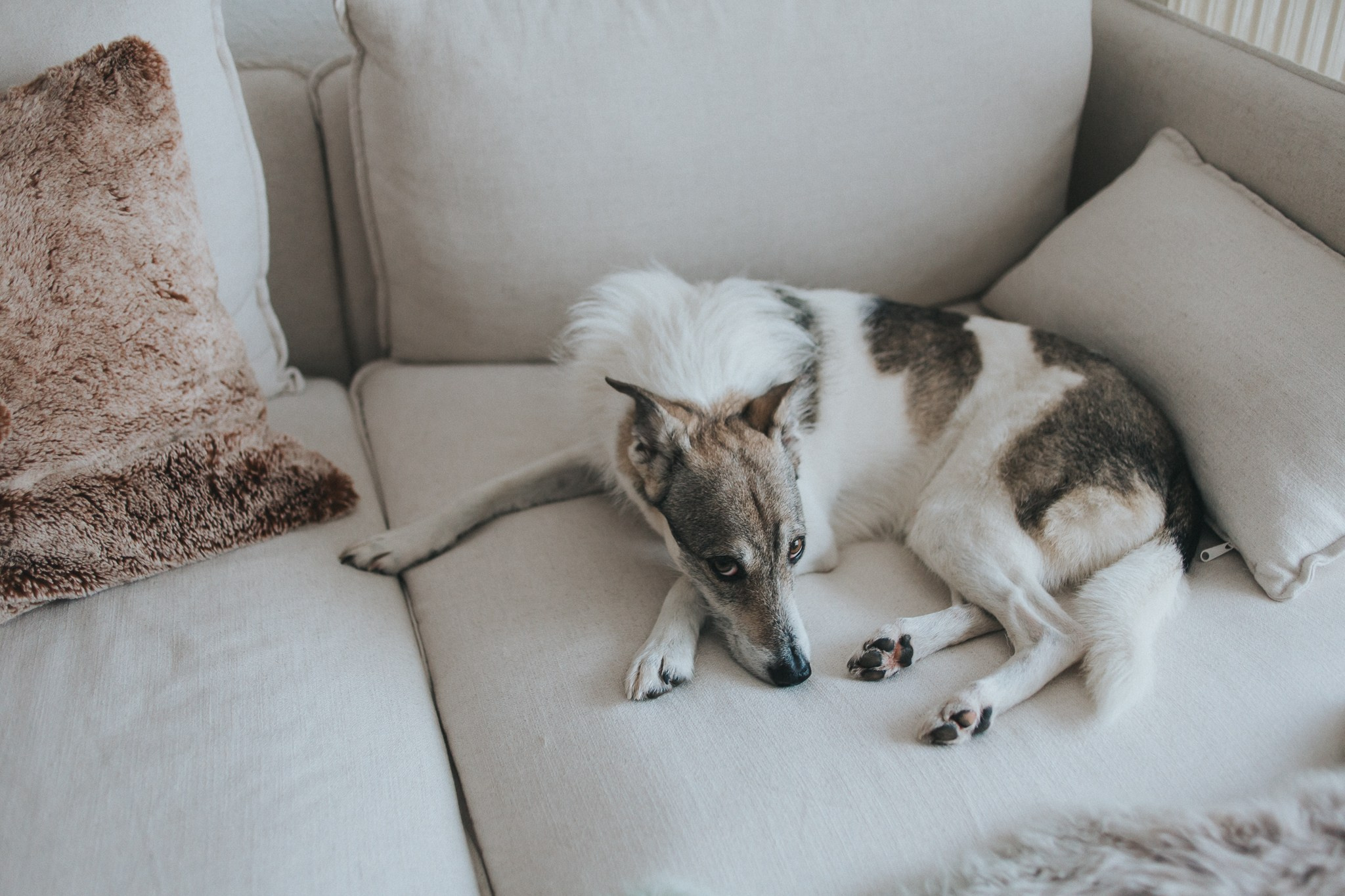 Pedro und Julia. Main