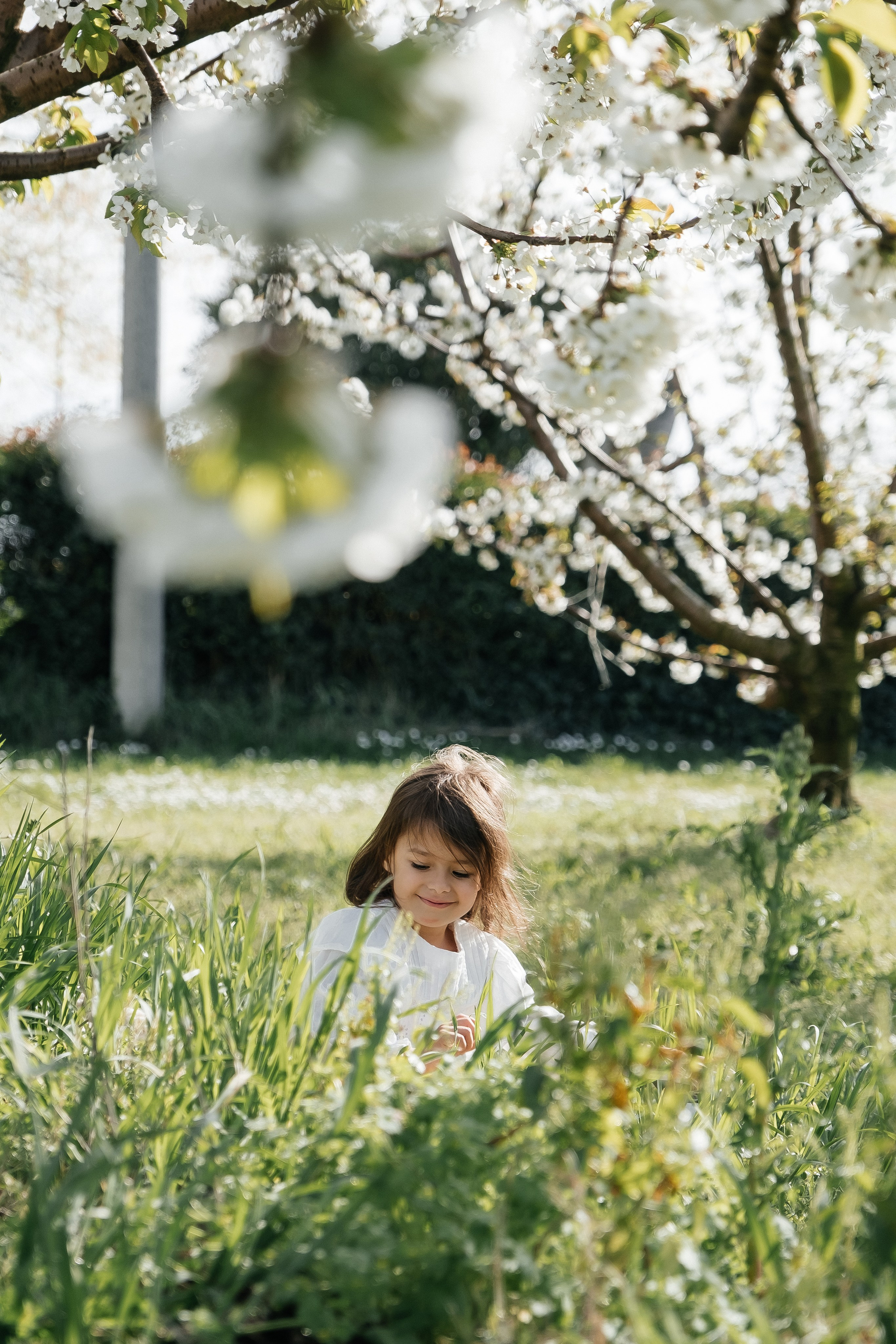 🌸🌸🌸. Весільний фотограф Вікторія Саврук