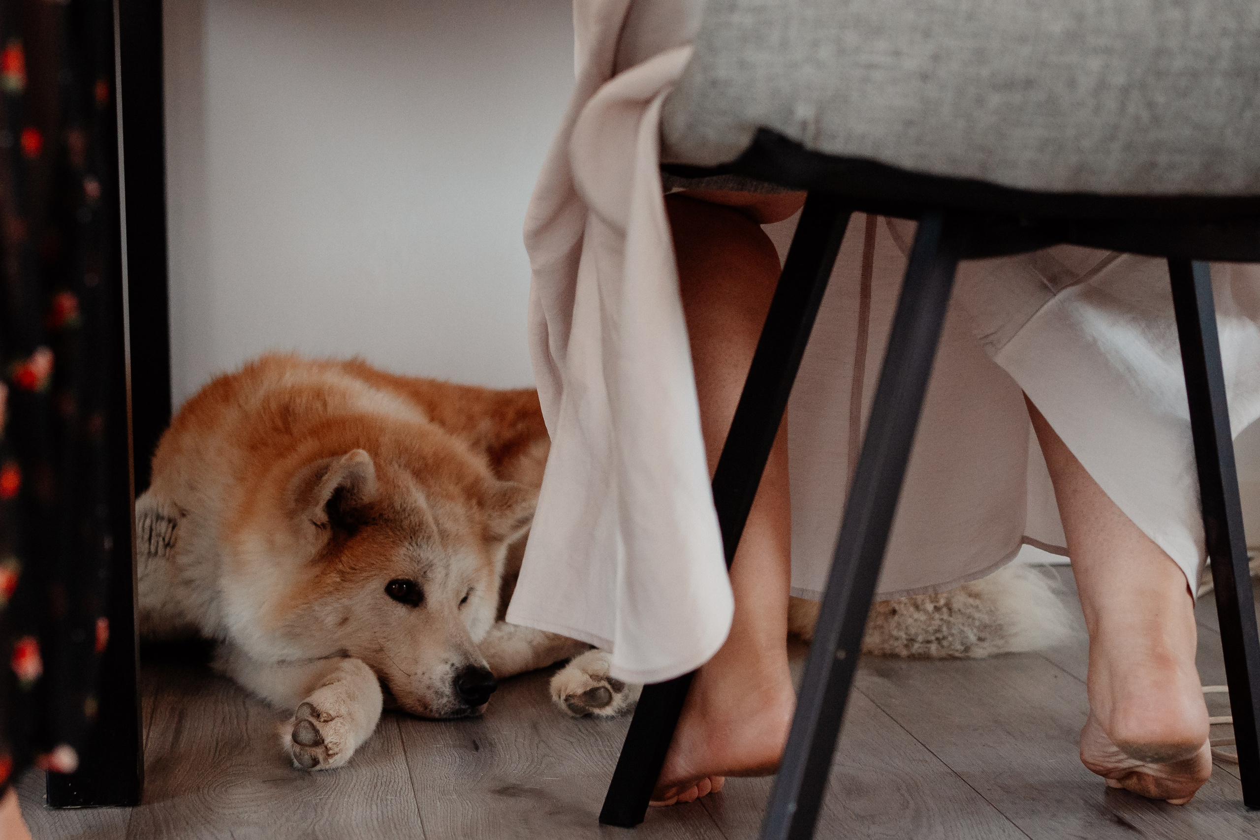 Moment emoționant între miri în ziua nunții, surprins într-un cadru natural și romantic, la Daimon Events. Fotografie de nuntă profesională, editată artistic pentru a evidenția emoția și eleganța evenimentului.