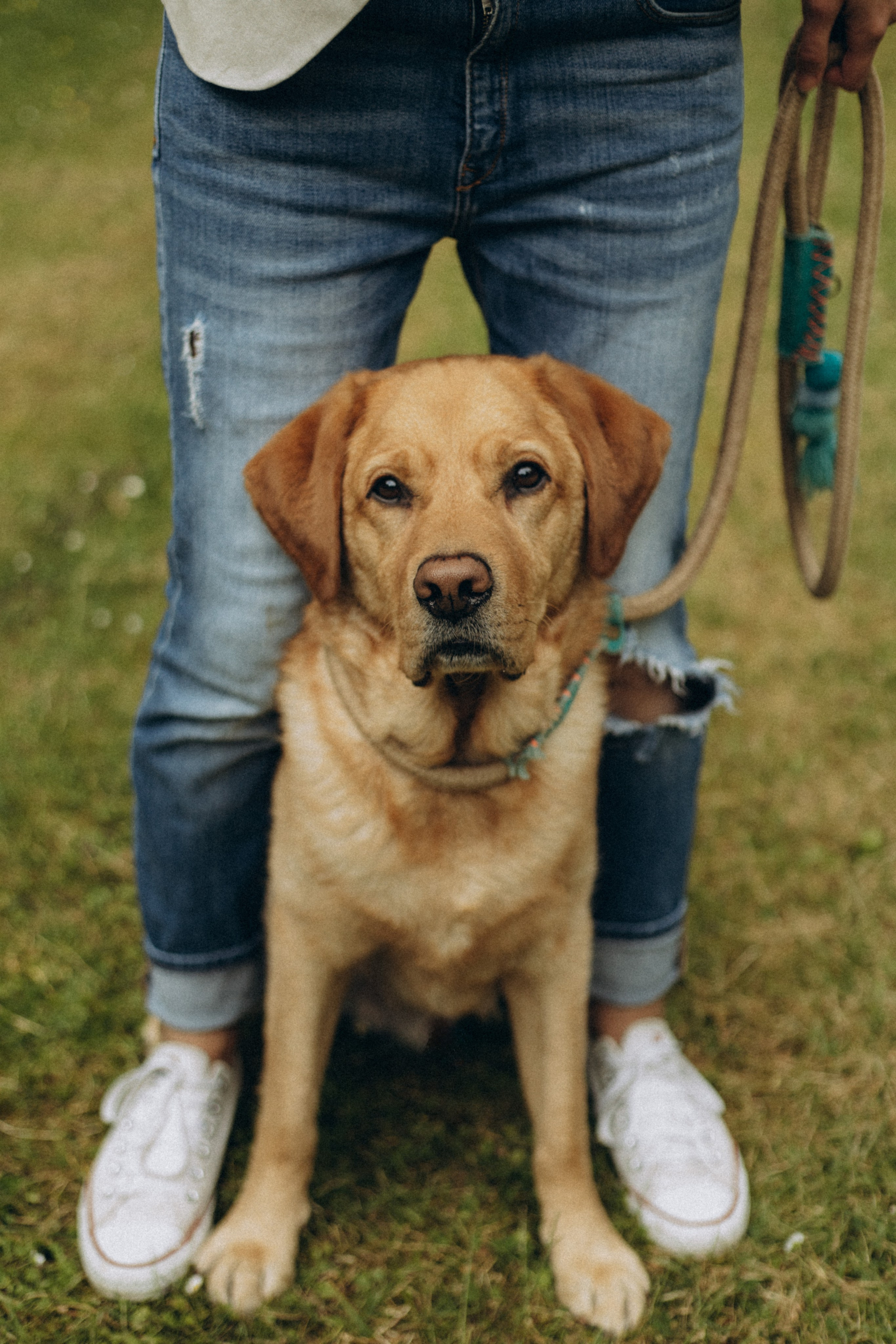 Pets. Photographer Düsseldorf, Cologne, NRW — Kristina Braudo