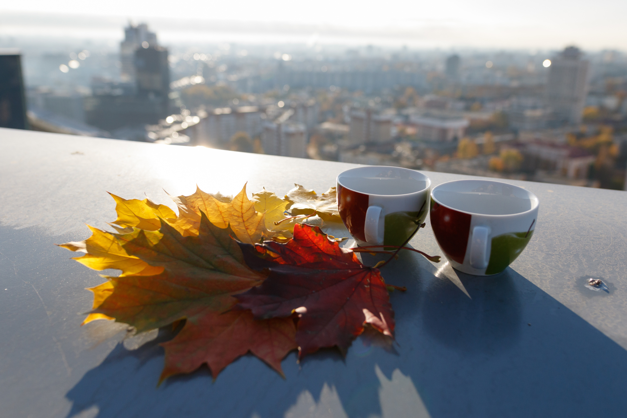 Lovestory photography. Photographer in Wroclaw Katerina Kouzmitcheva