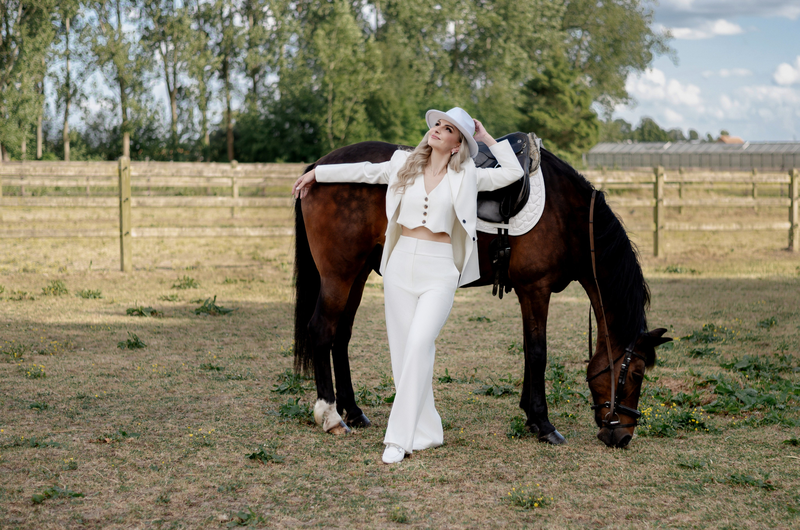 Photoshoot with Horses. Professional Photograher, Antwerpen/Belgium