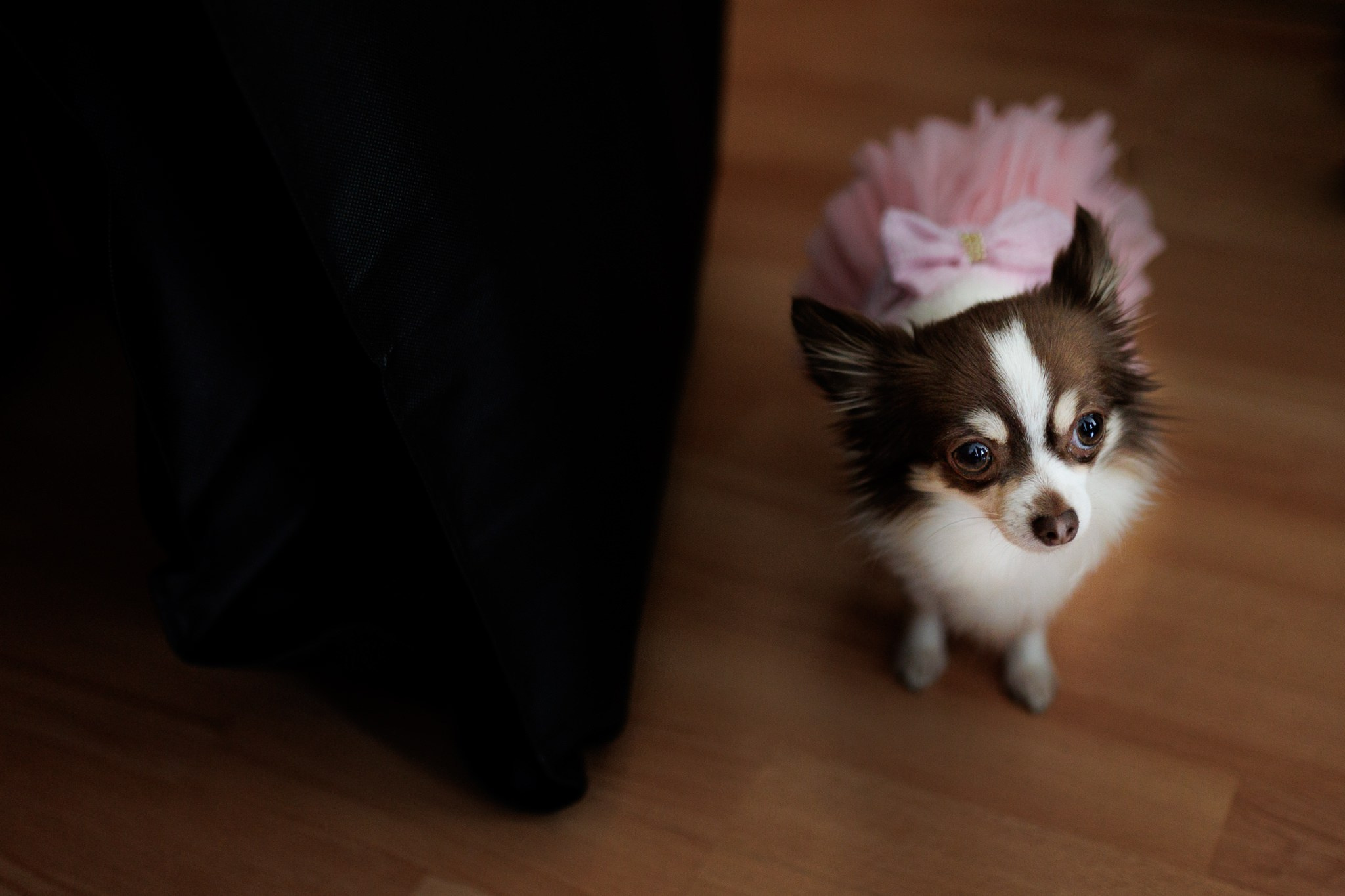 Nunta Ema si Valentin la Domeniile Saftica - Fotograf nunta Bucuresti. Fotograf nunta Bucuresti - Manu Ivanciu