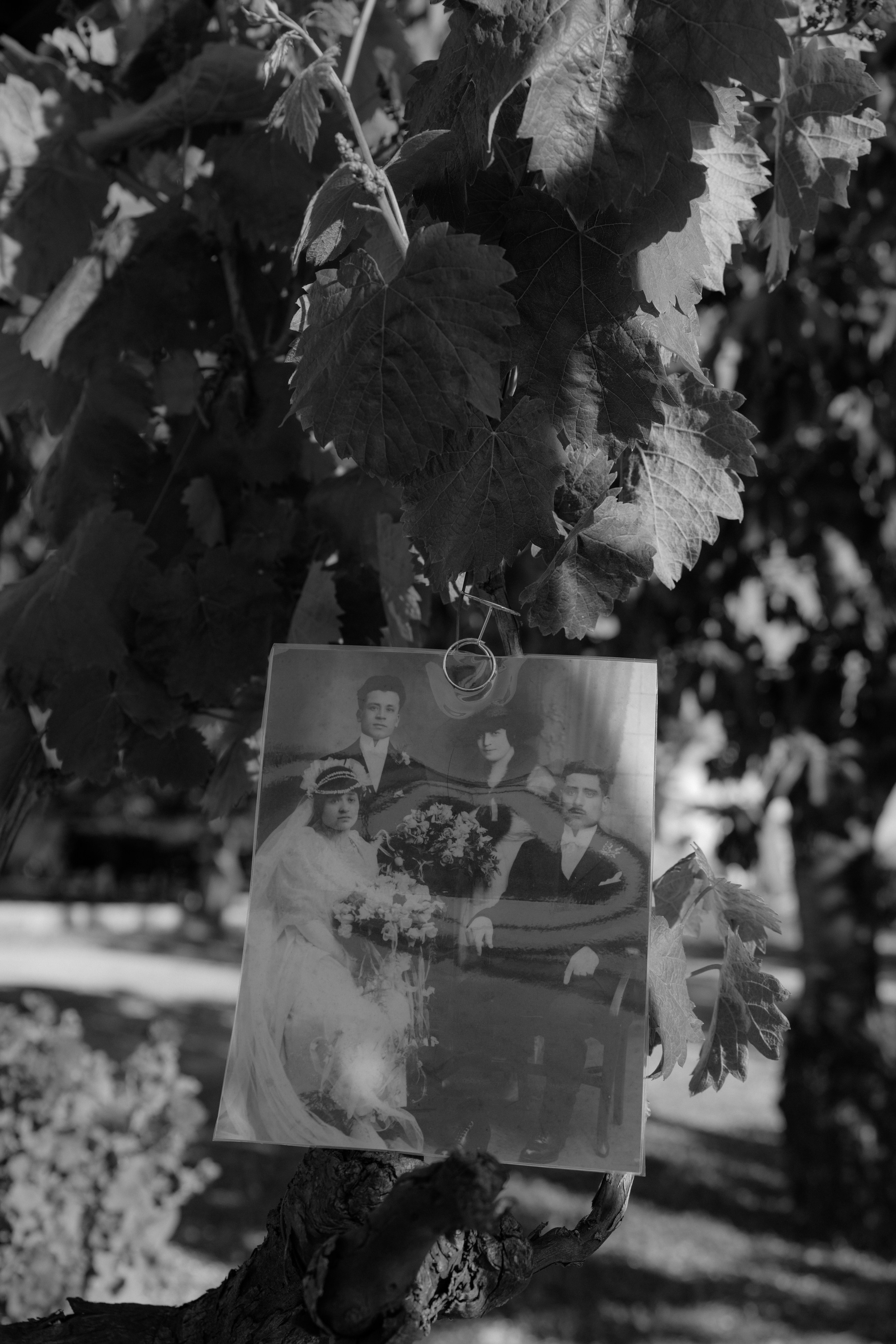 2. Весільний фотограф Вікторія Саврук