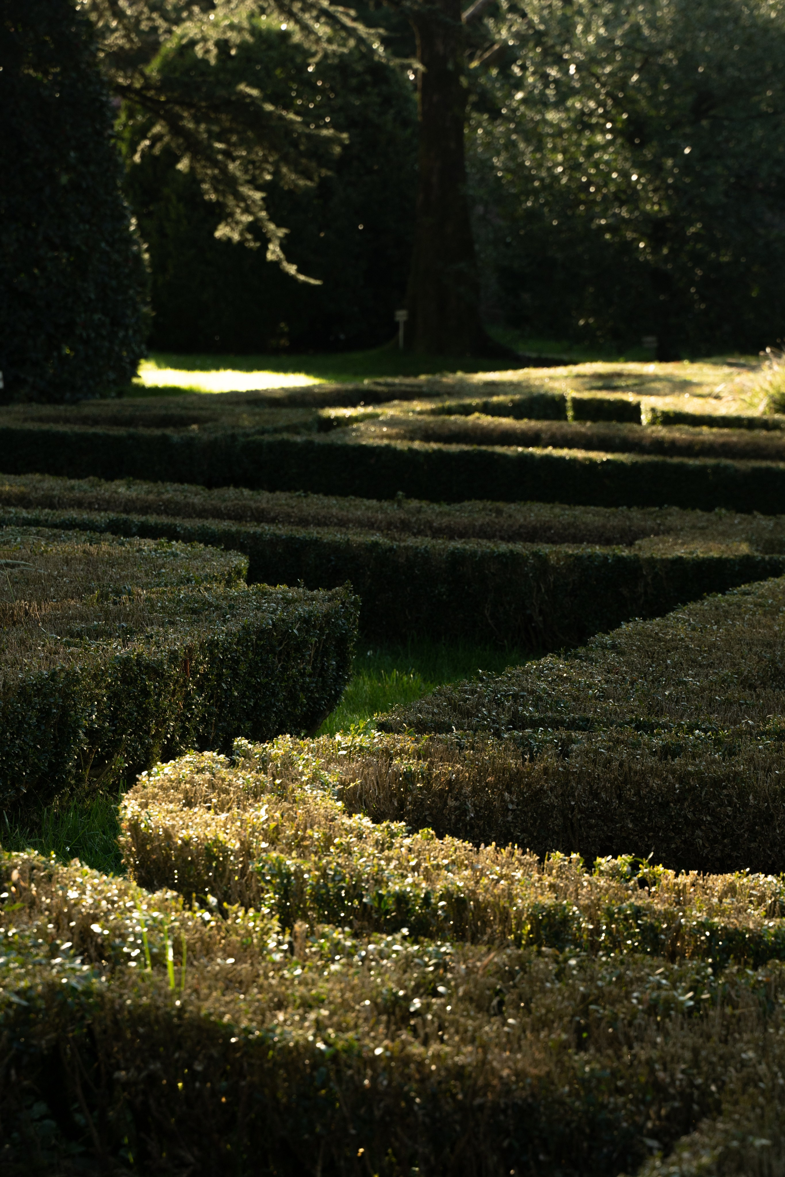 Portreti spoštovanja. Фотограф и видеограф Мария Бортякова из Словении: событийная, портретная и видеосъемка по всей Словении