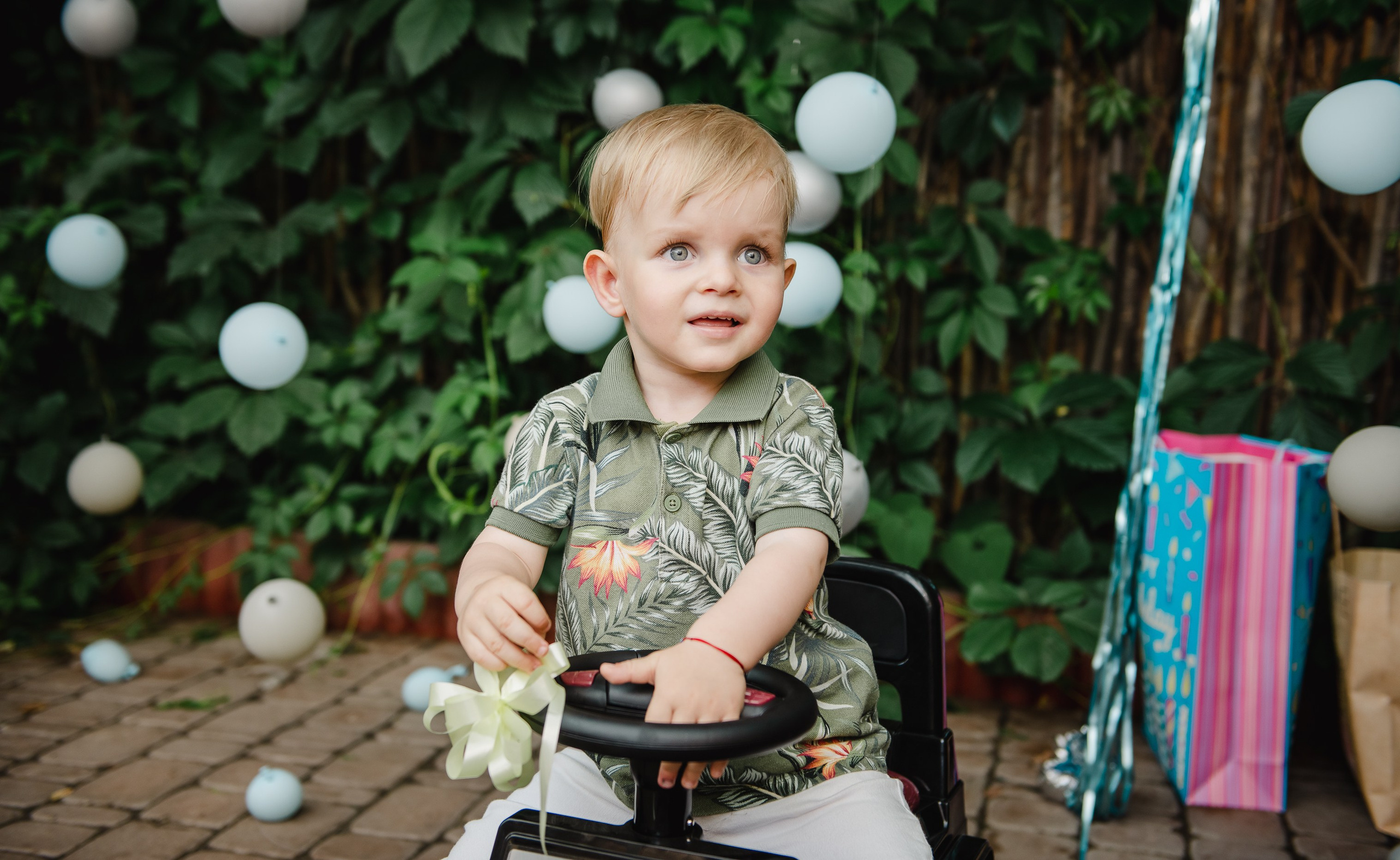 DAVID. Fotograf de familie Vitalie Budoianu