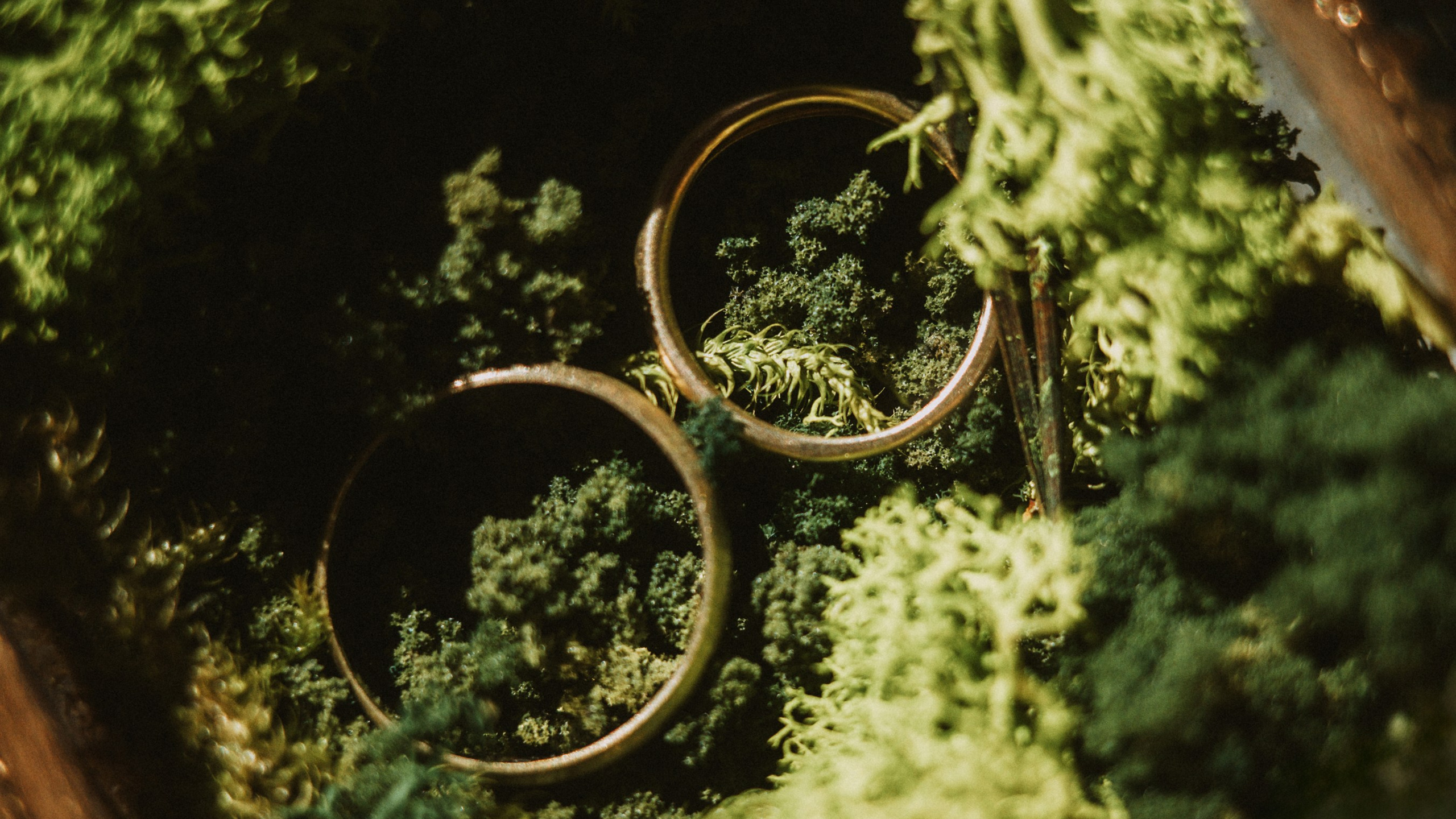 Свадебный фотограф Тенерифе. Фотограф Тенерифе Эдгар Зубарев